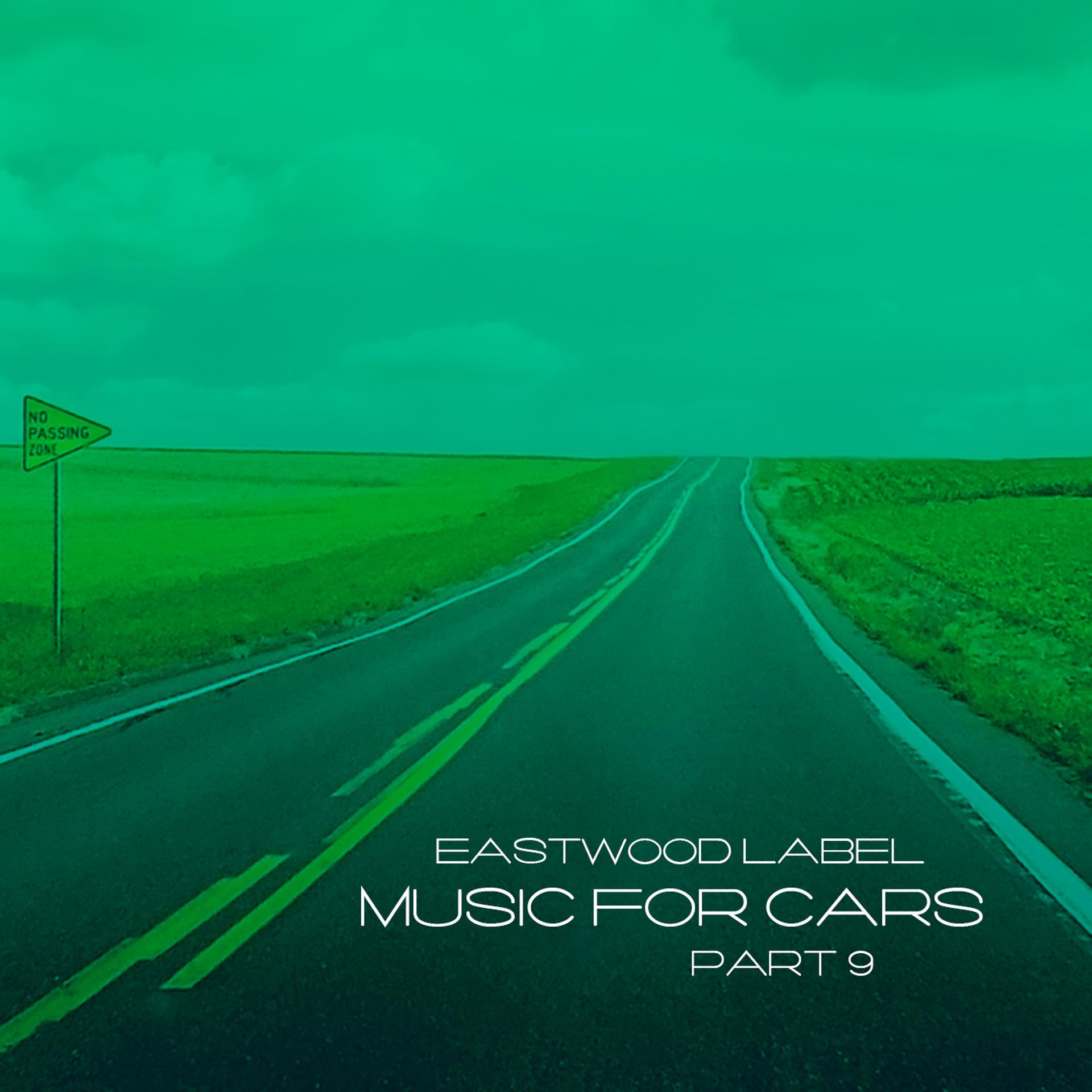 Постер альбома Music for Cars, Vol. 9