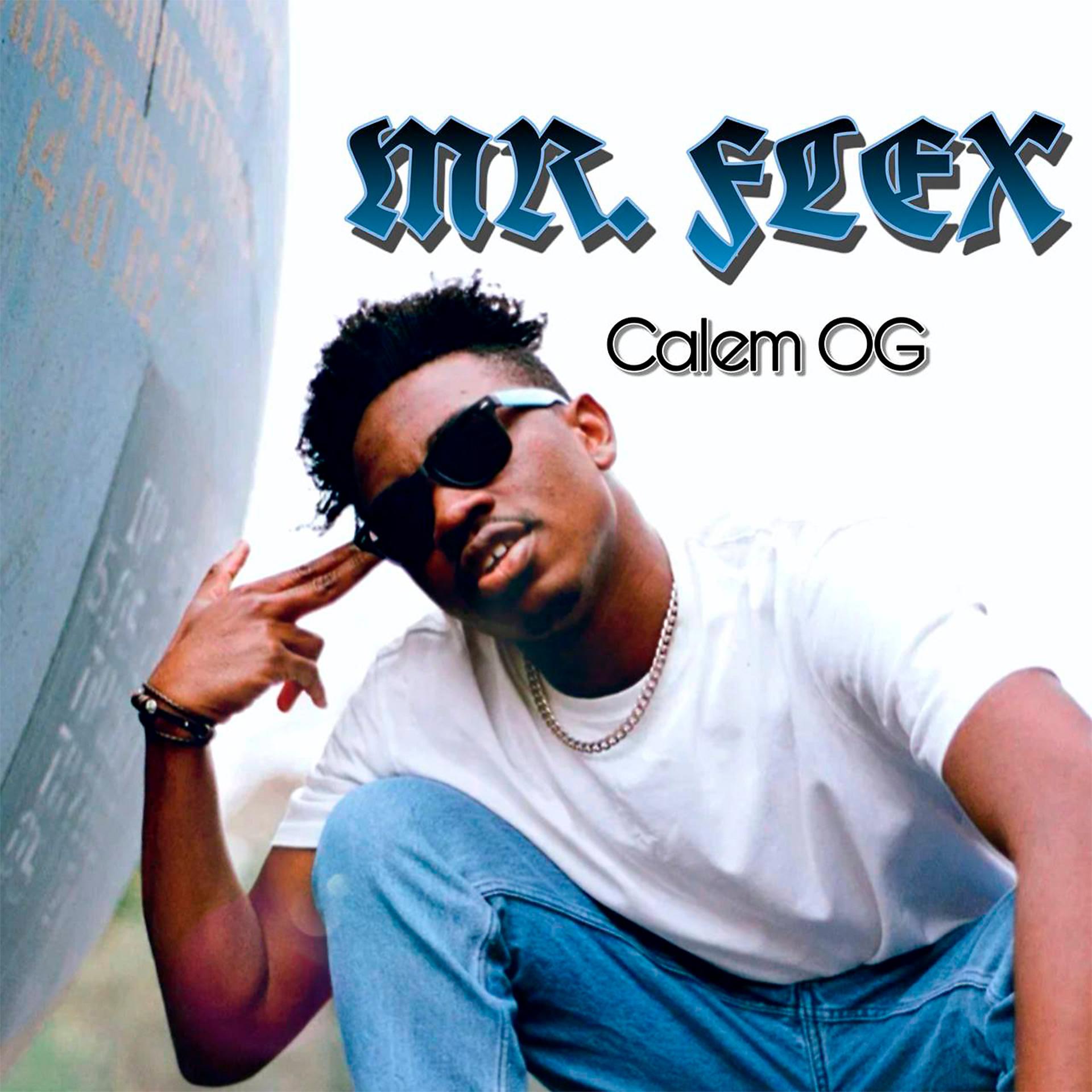 Постер альбома Mr. Flex