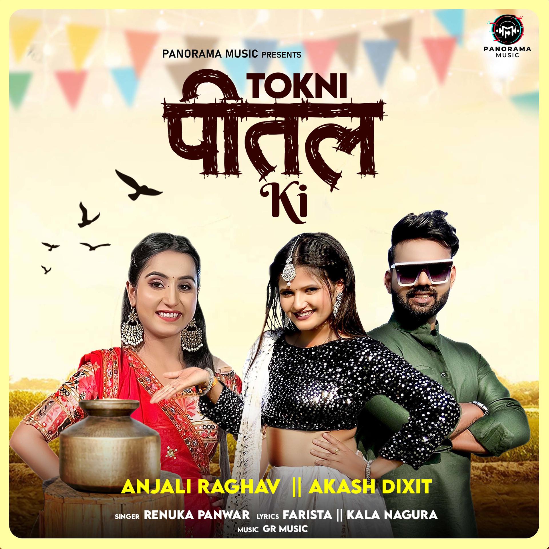 Постер альбома Tokni Pittal Ki