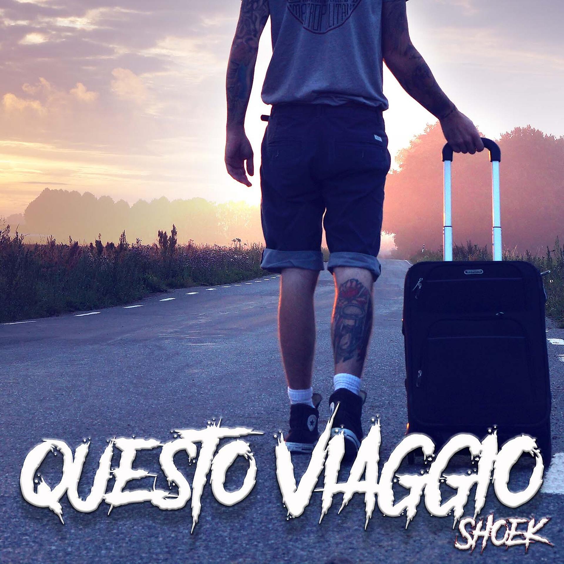 Постер альбома Questo viaggio