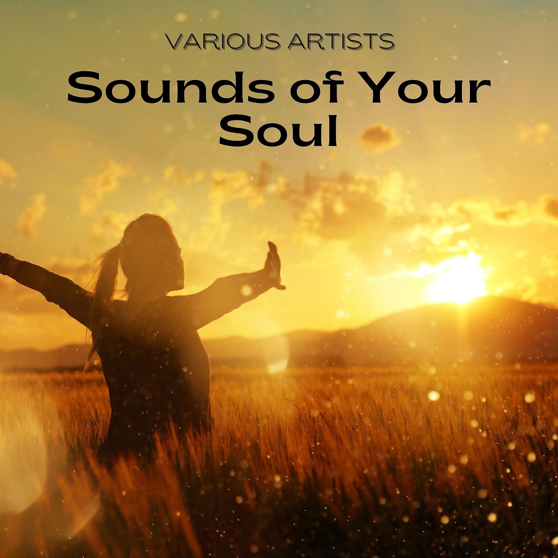 Постер альбома Sounds of Your Soul