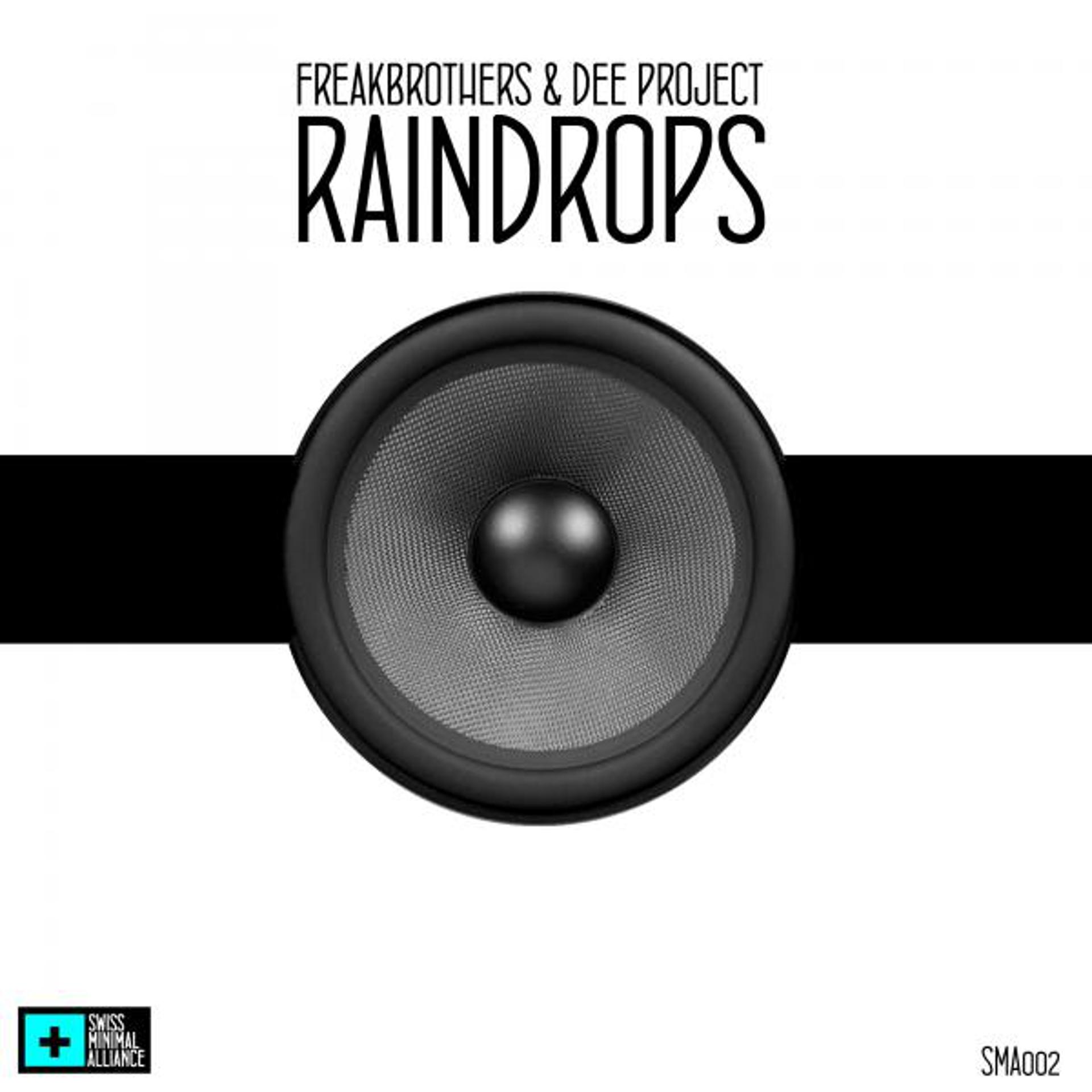 Постер альбома Raindrops