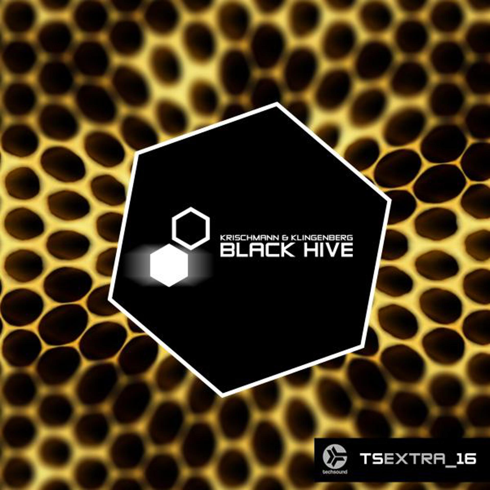 Постер альбома Techsound Extra 16: Black Hive