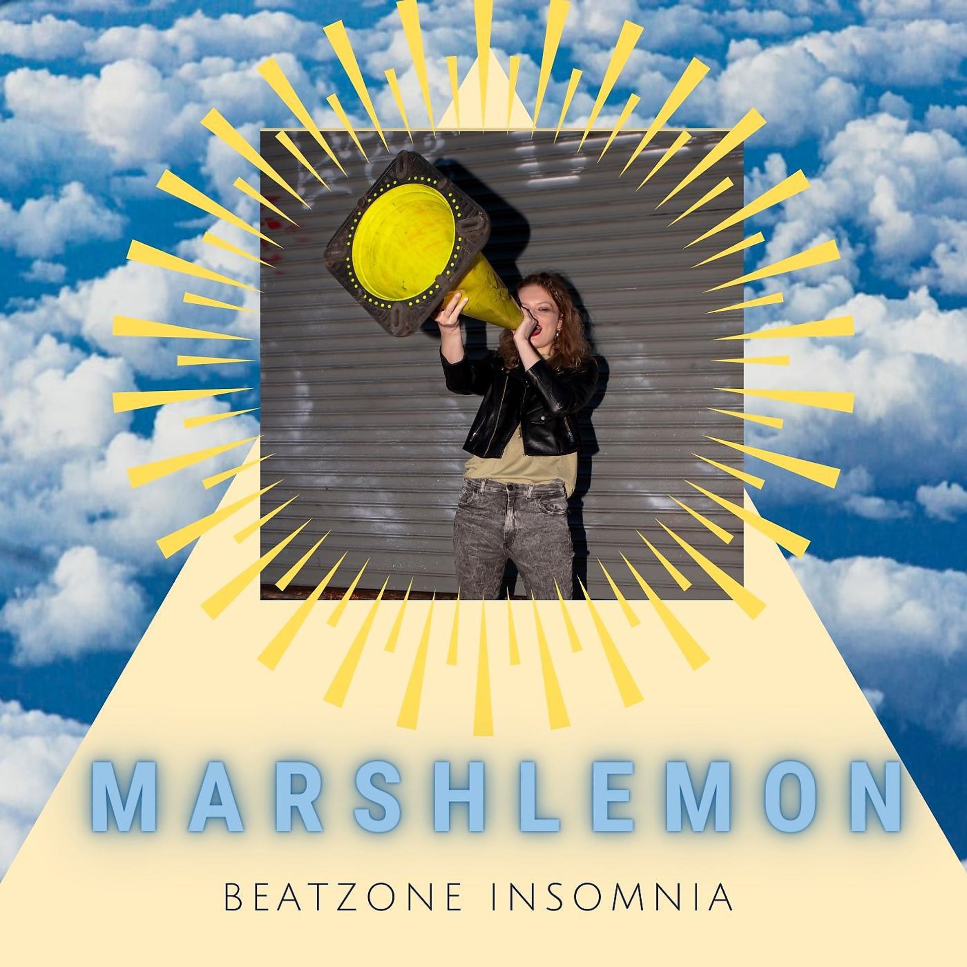 Постер альбома Beatzone Insomnia