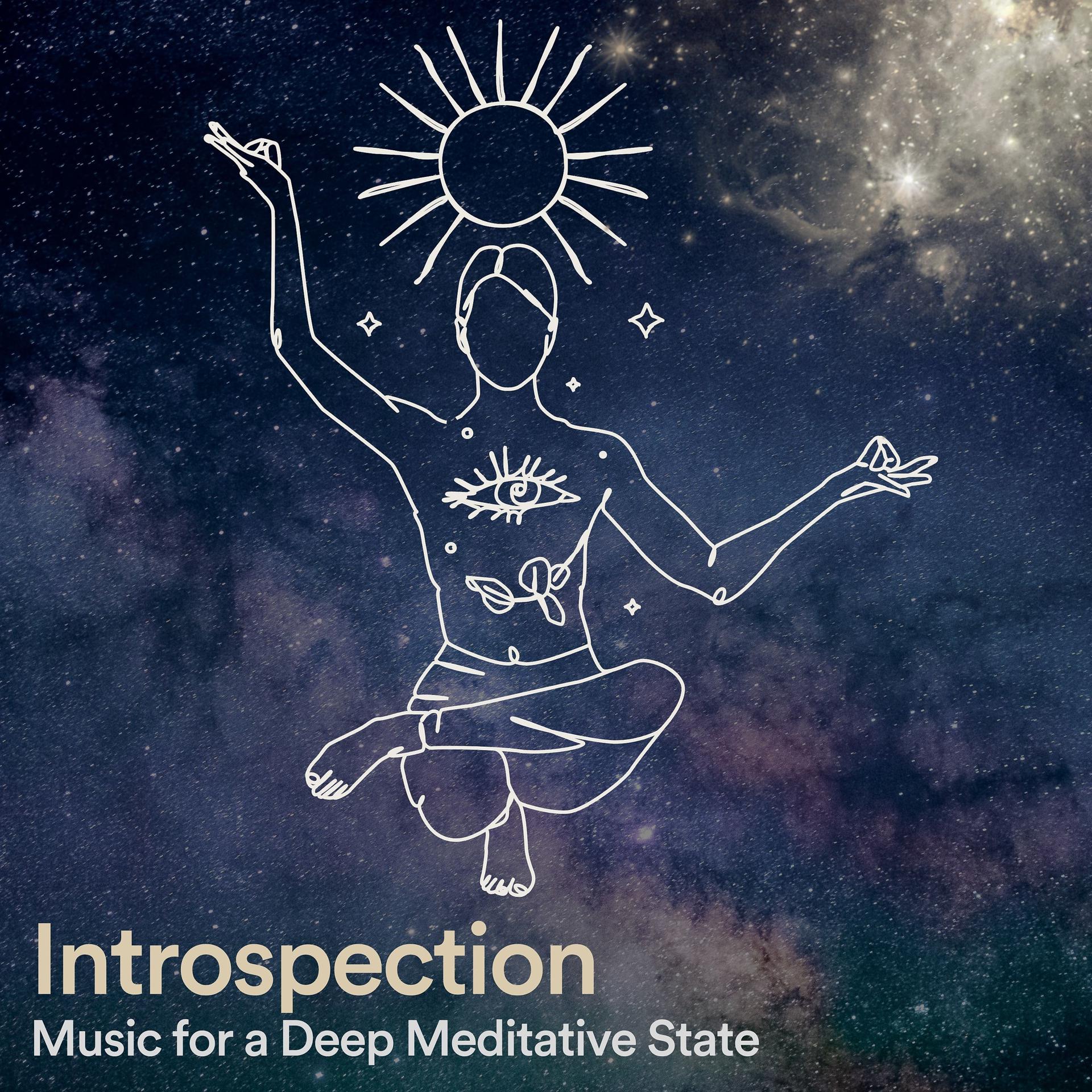 Постер альбома Introspection Music for a Deep Meditative State