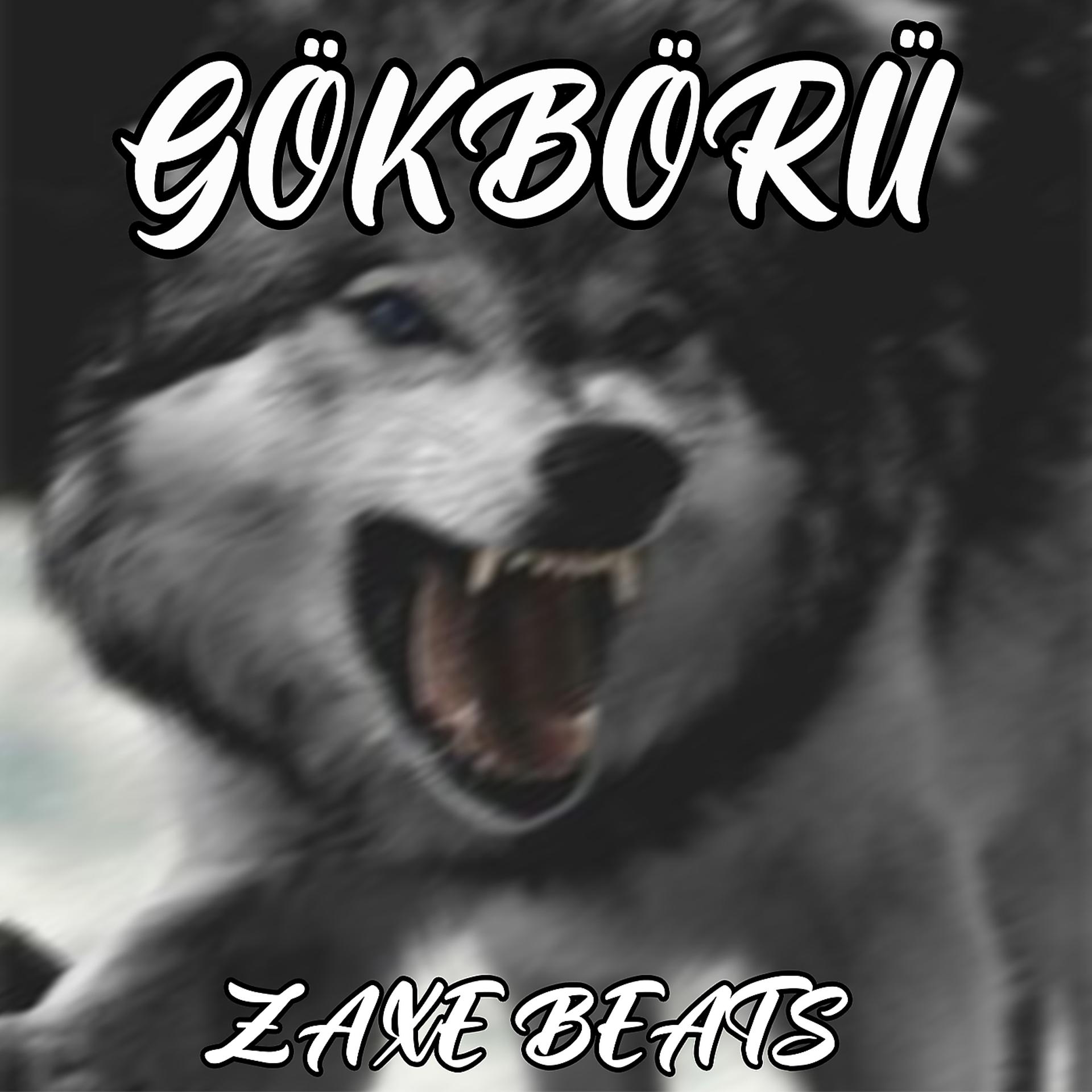 Постер альбома Gökbörü