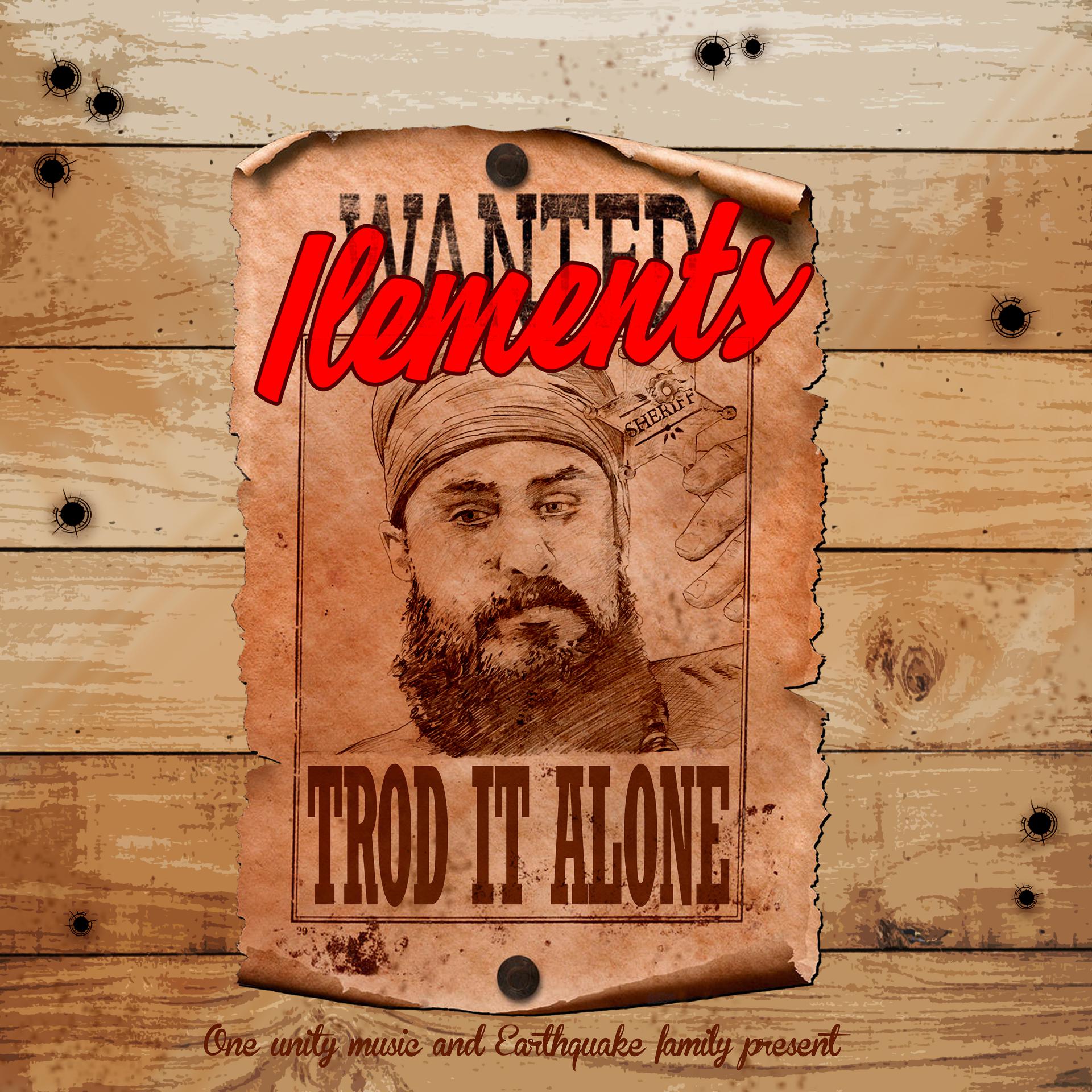 Постер альбома Trod It Alone
