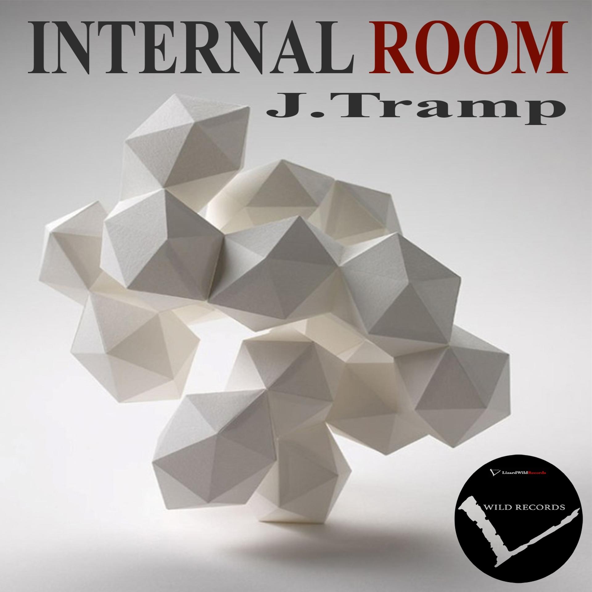 Постер альбома Internal Room