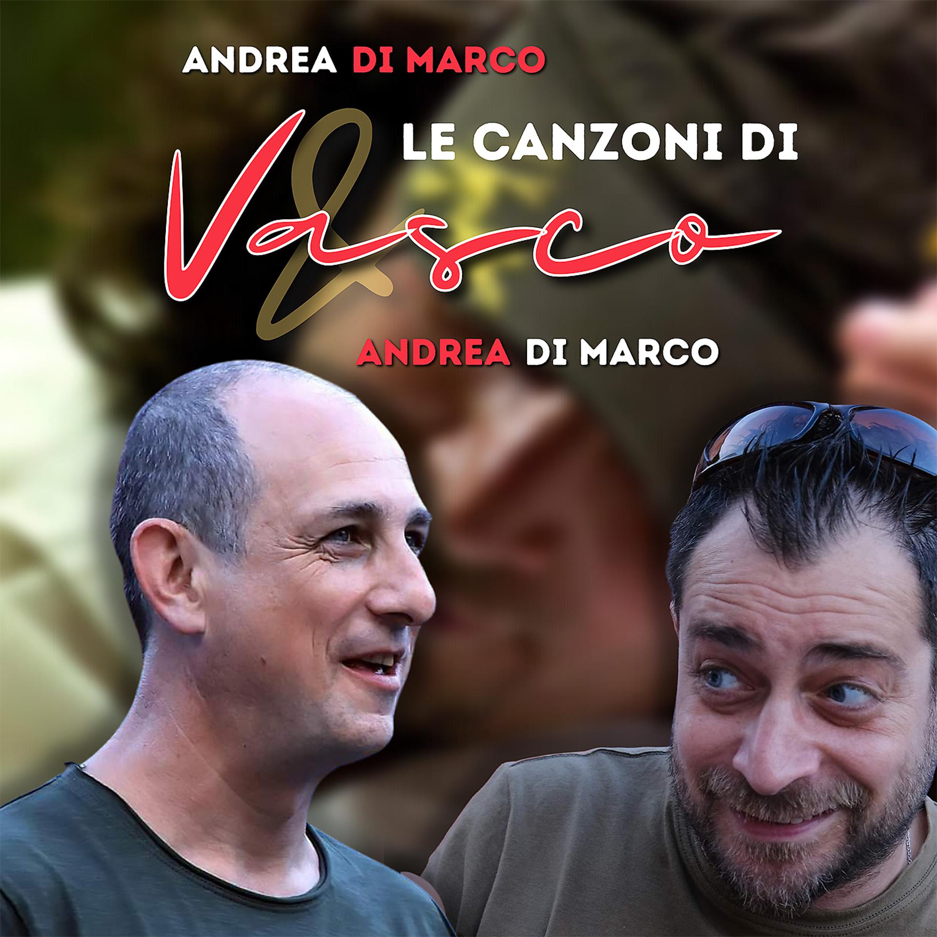 Постер альбома Le canzoni di Vasco