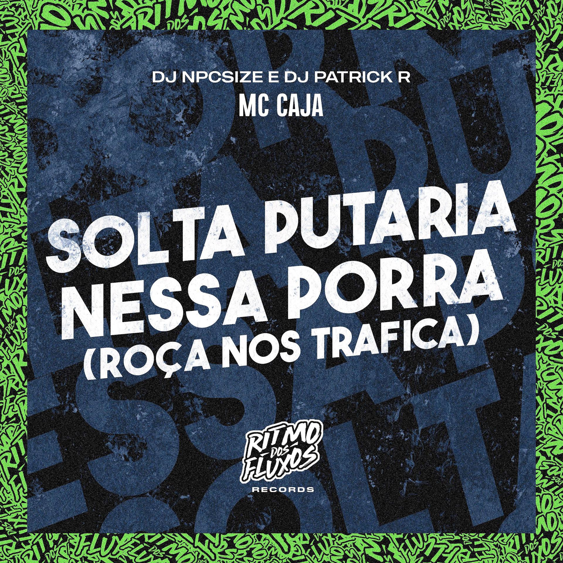 Постер альбома Solta a Putaria Nessa Porra (Roça nos Trafica)