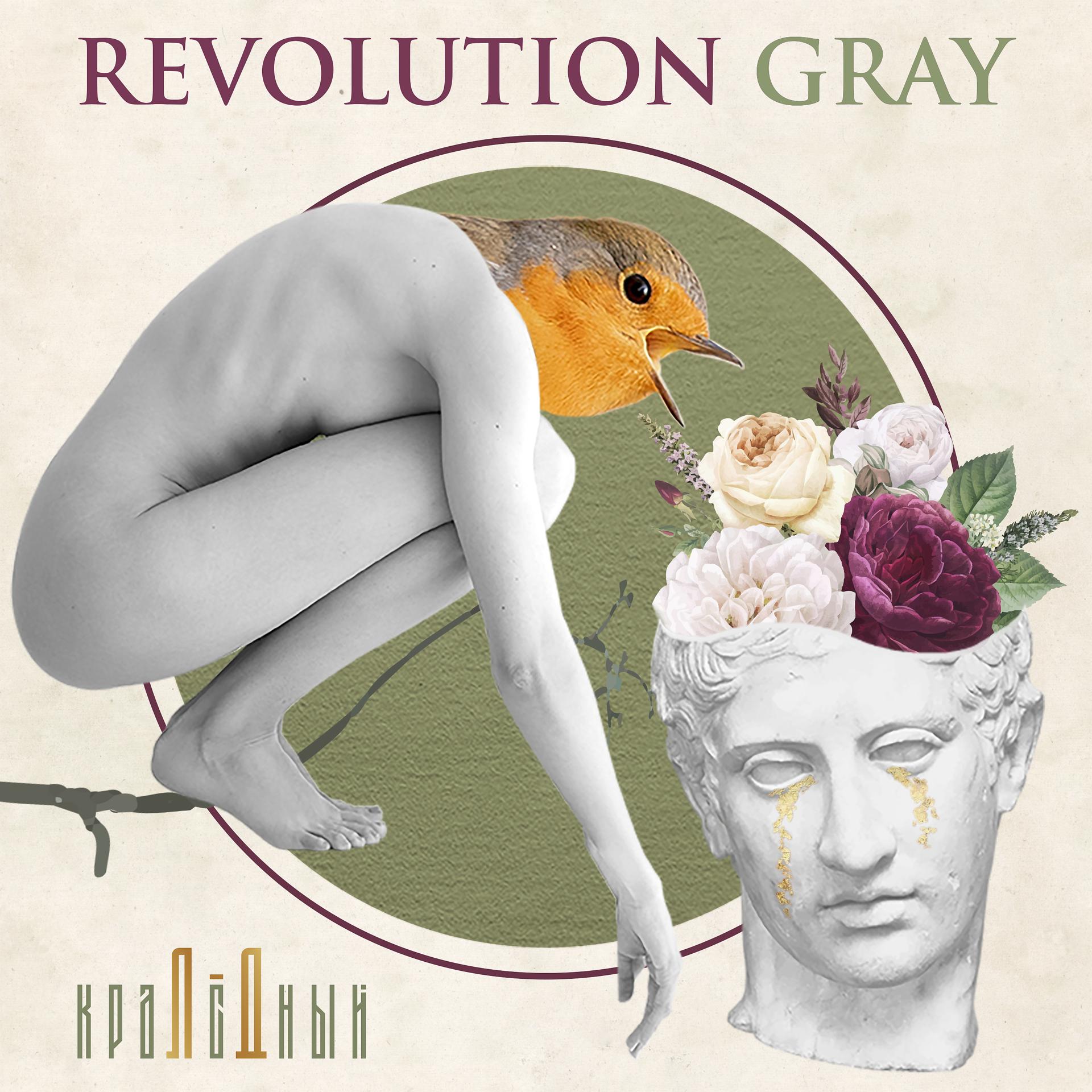 Постер альбома Revolution Gray