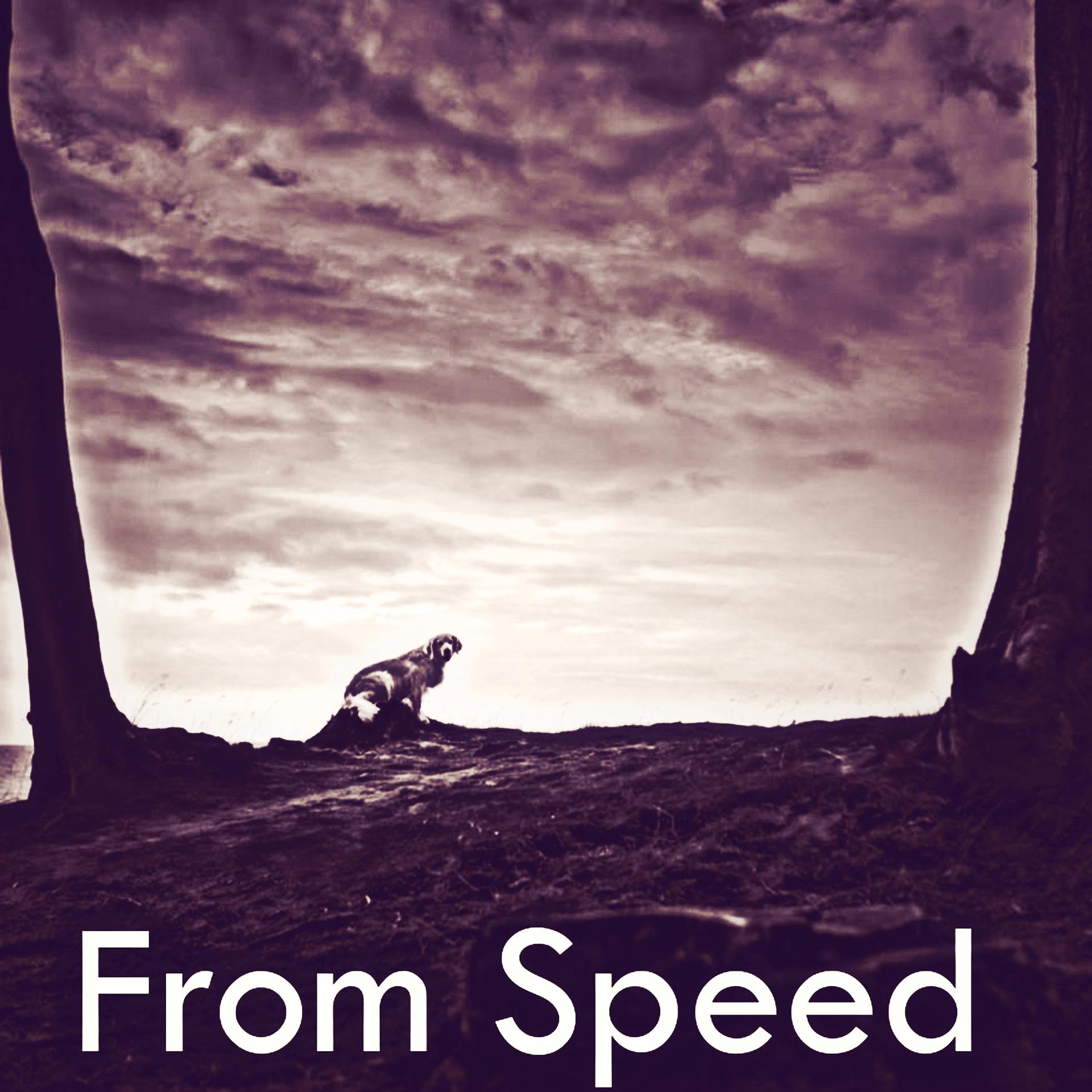 Постер альбома From Speed
