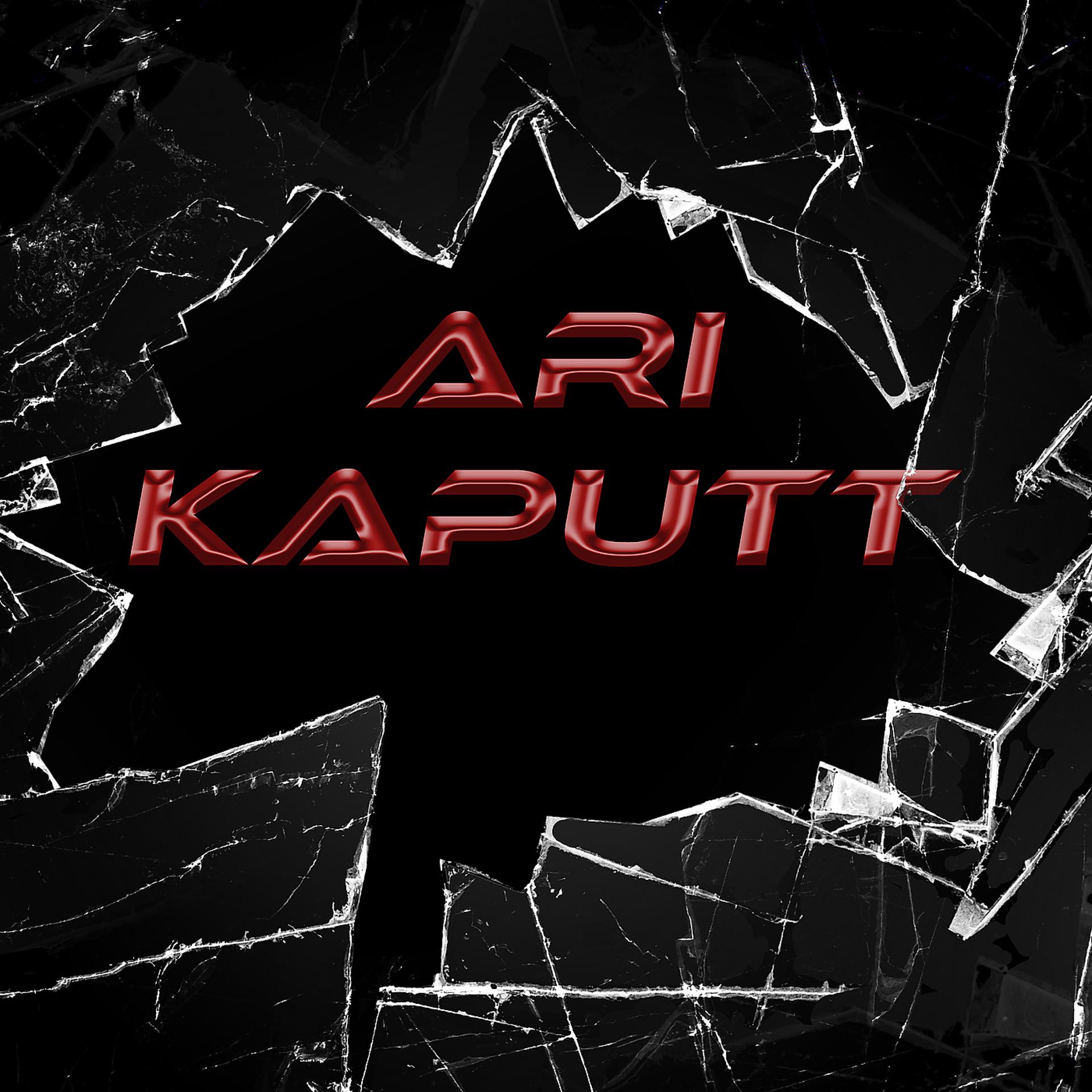 Постер альбома Kaputt