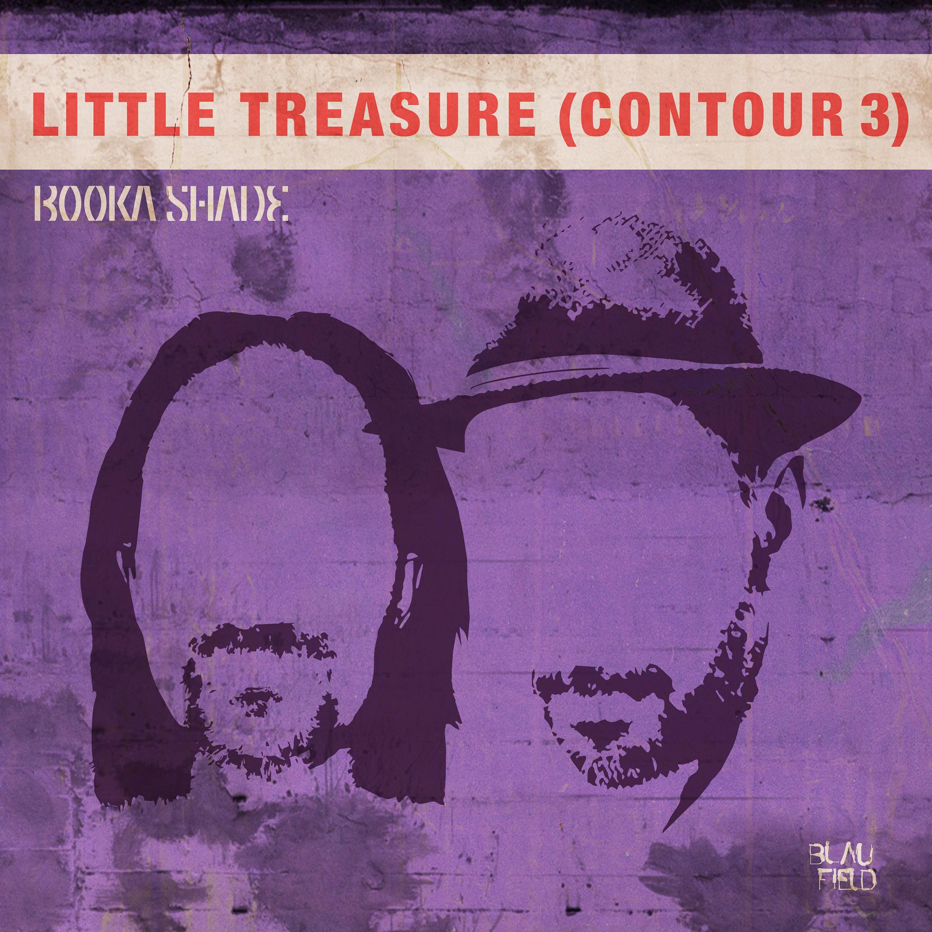Постер альбома Little Treasure (Contour 3)