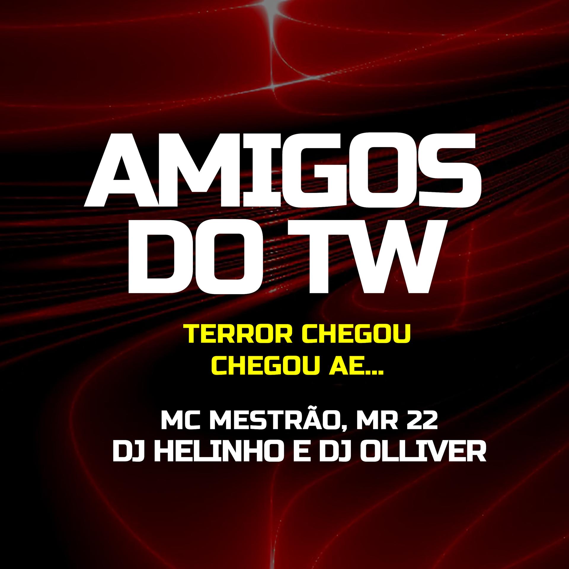 Постер альбома AMIGOS DO WT [ Feat. MC Mestrão e MR 22 ]
