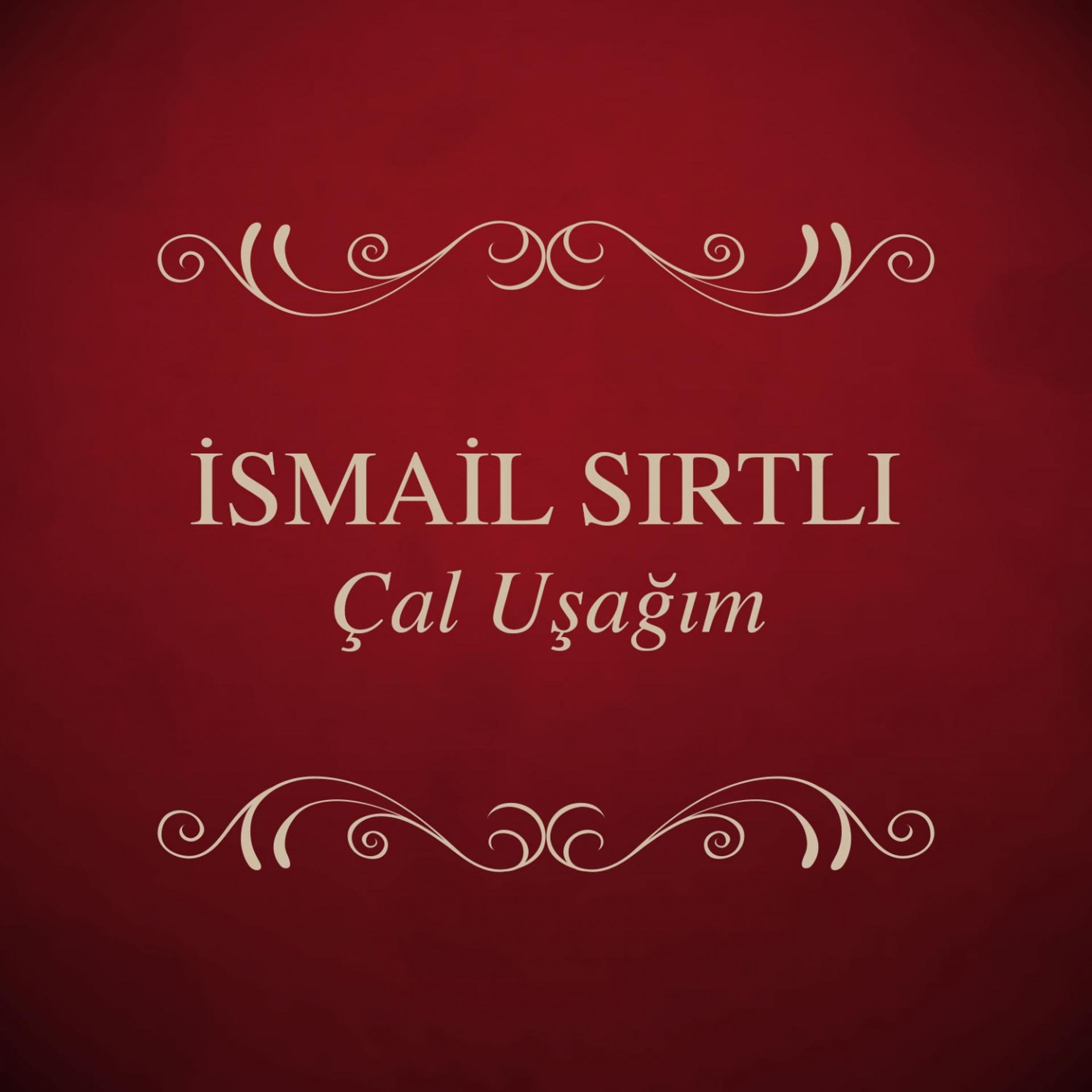Постер альбома Çal Uşağım