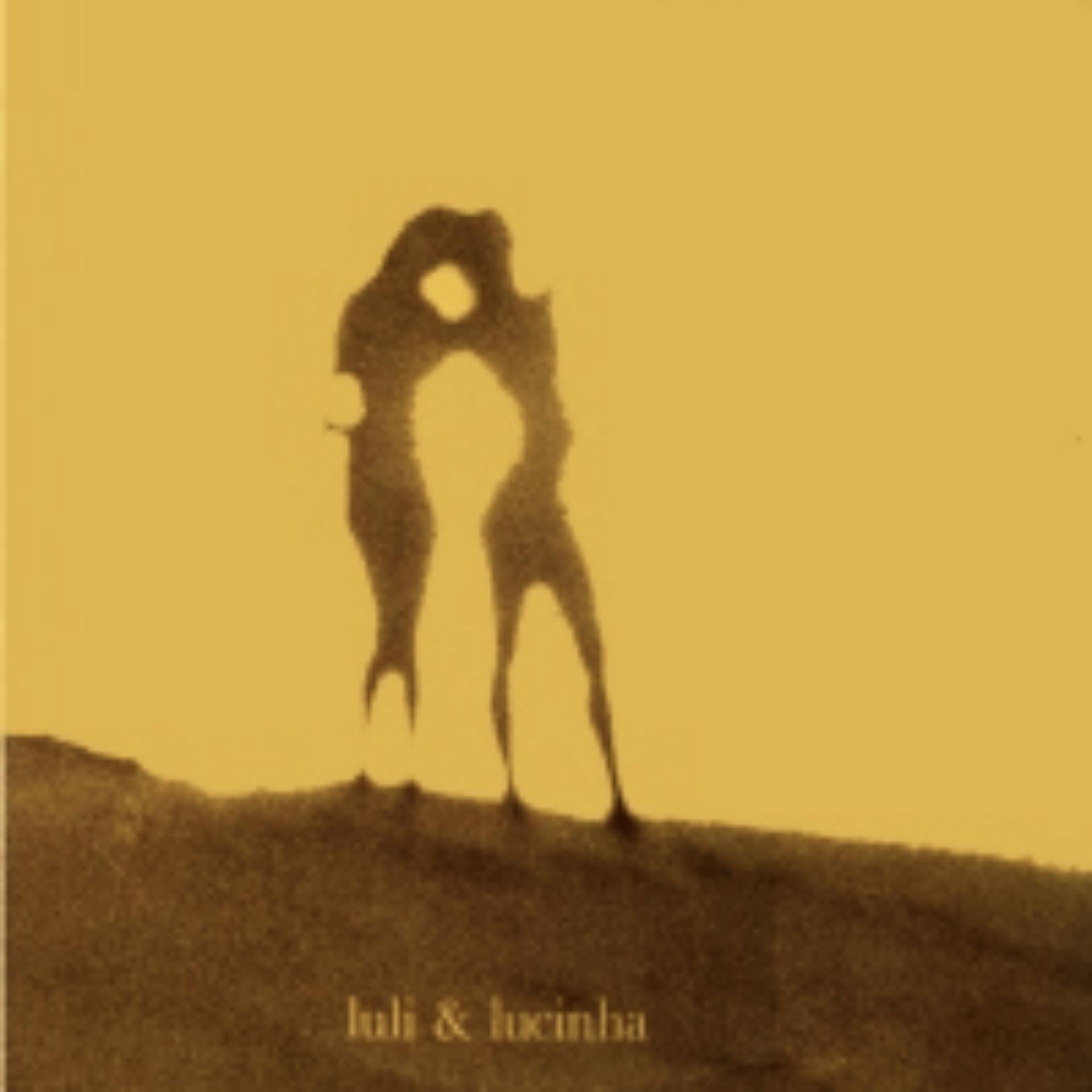 Постер альбома Luli & Lucinha