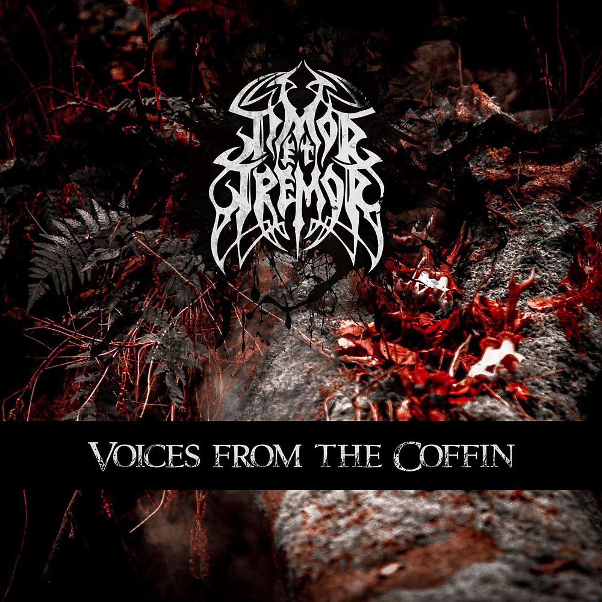 Постер альбома Voices from the Coffin