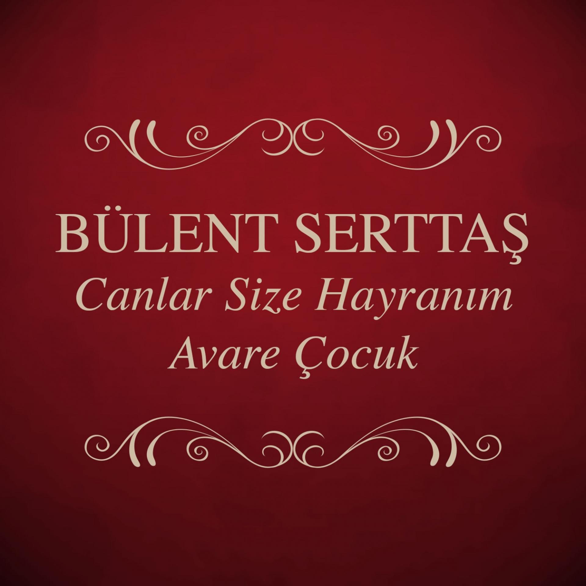 Постер альбома Canlar Size Hayranım / Avare Çocuk