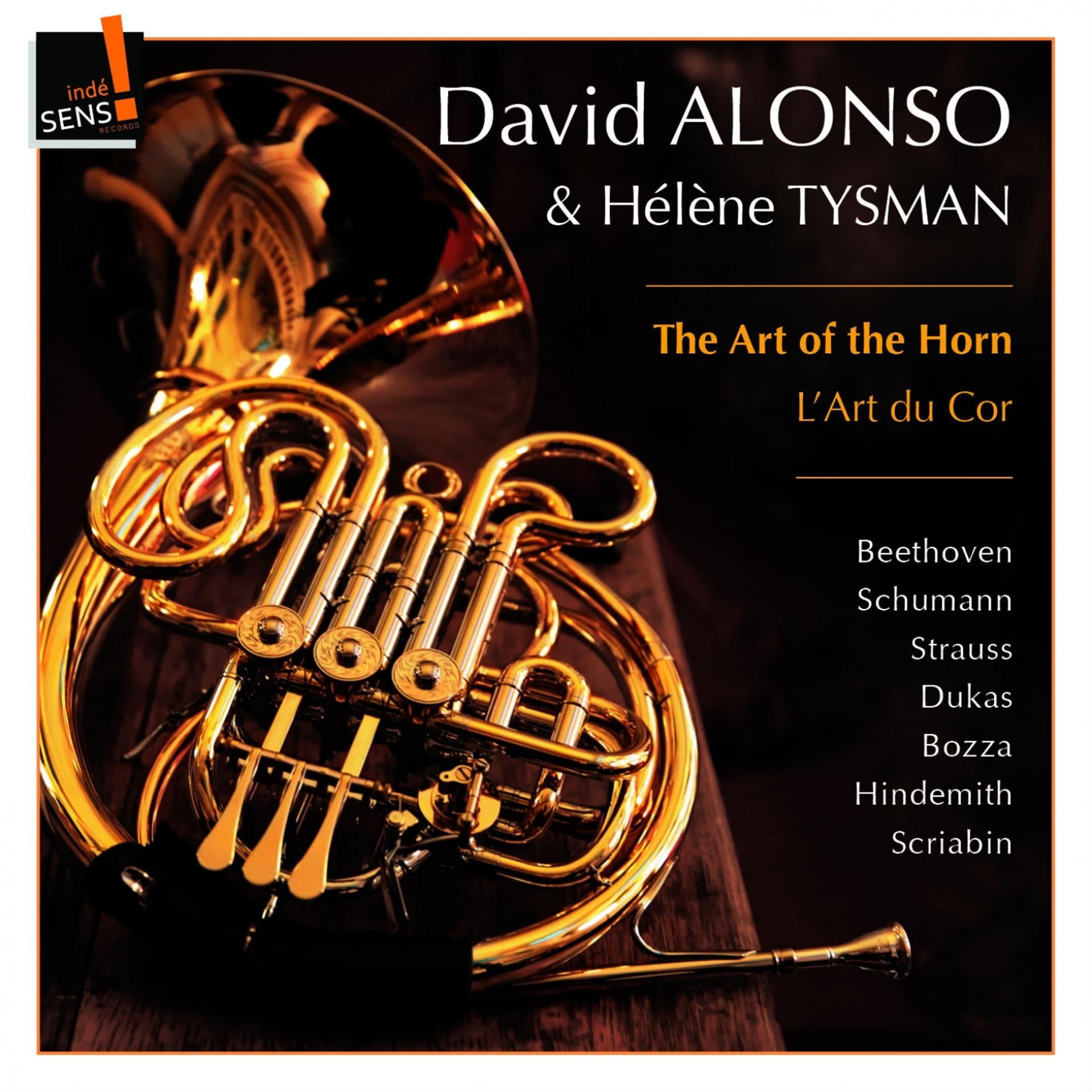 Постер альбома The Art of the Horn: David Alonso