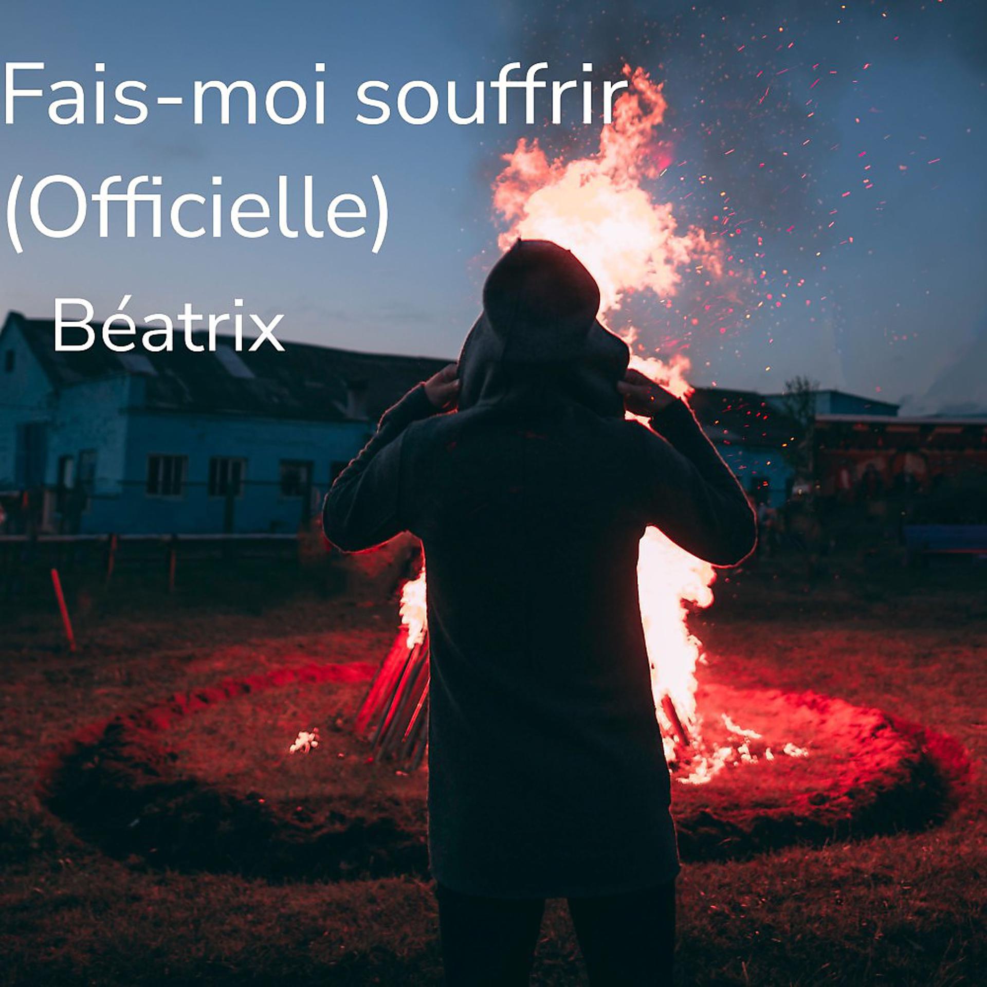Постер альбома Fais-Moi souffrir (Officielle)