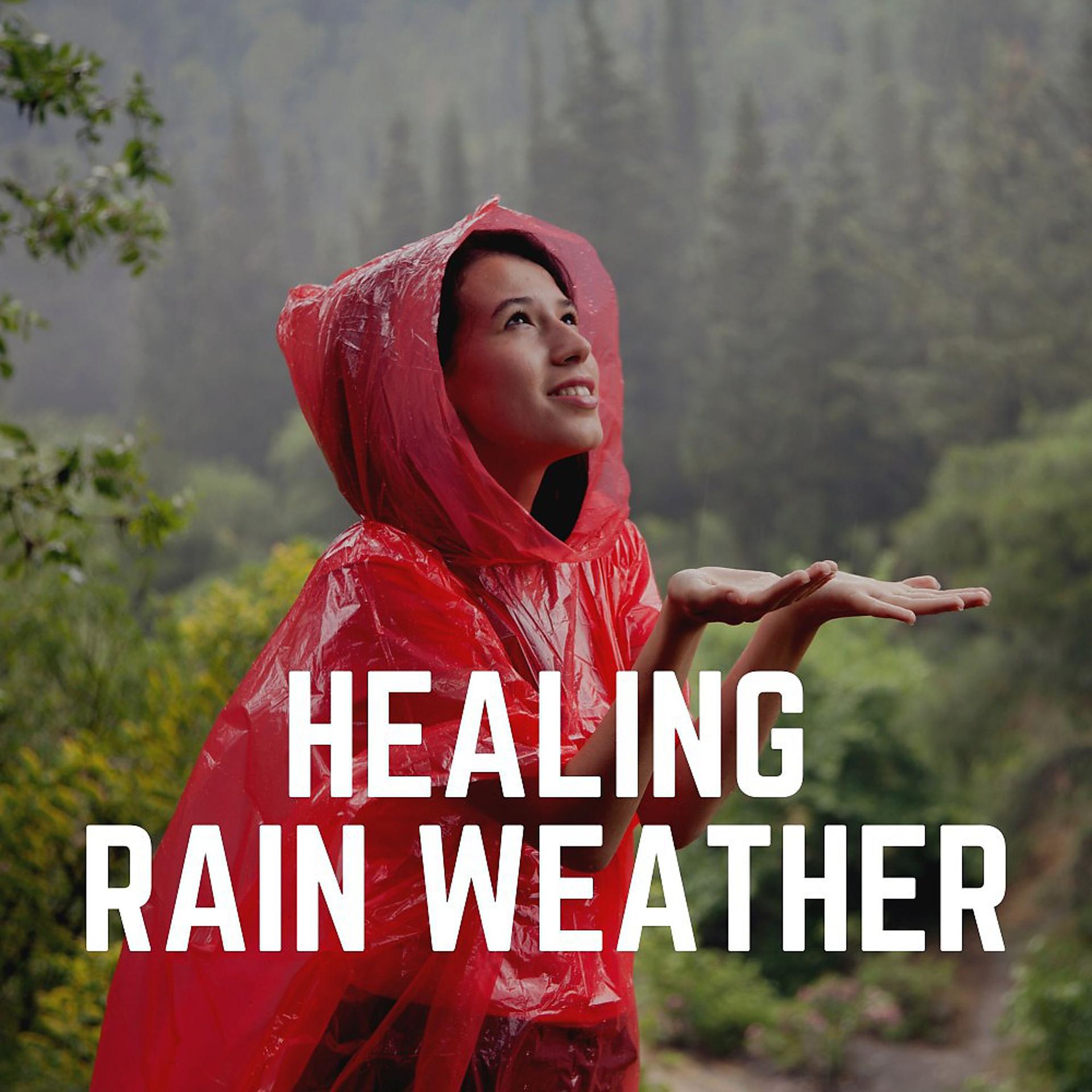 Постер альбома Healing Rain Weather