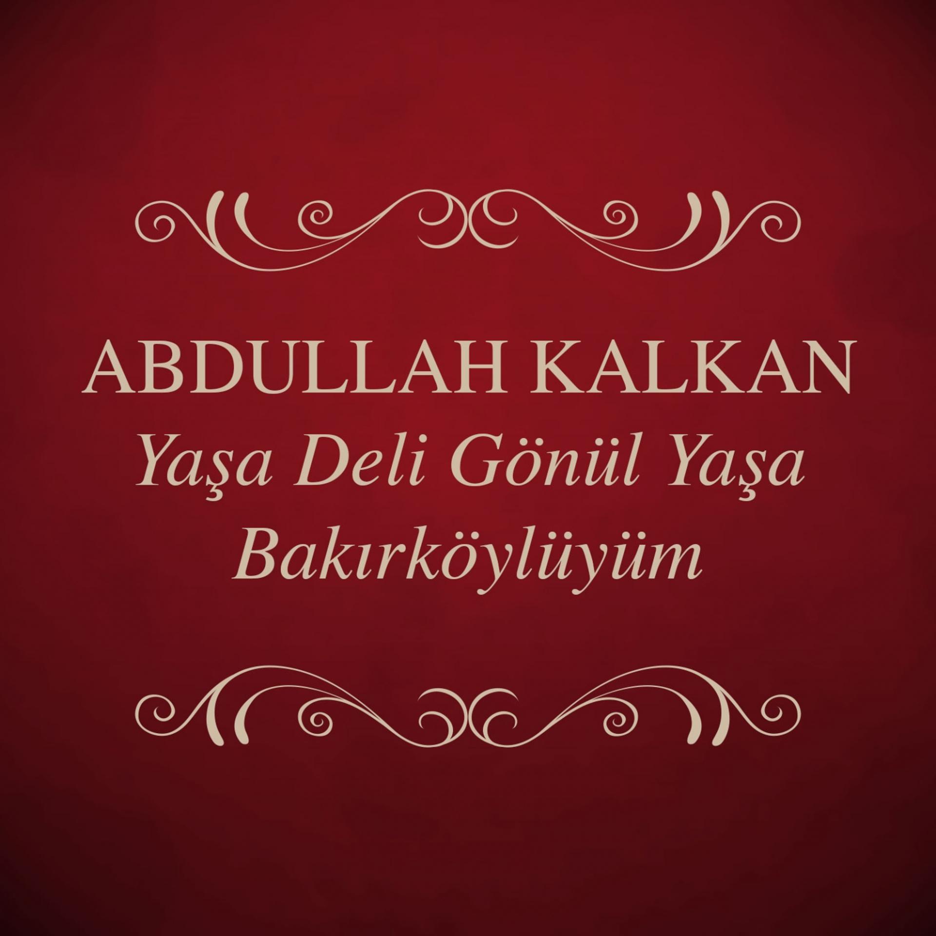 Постер альбома Yaşa Deli Gönül Yaşa / Bakırköylüyüm