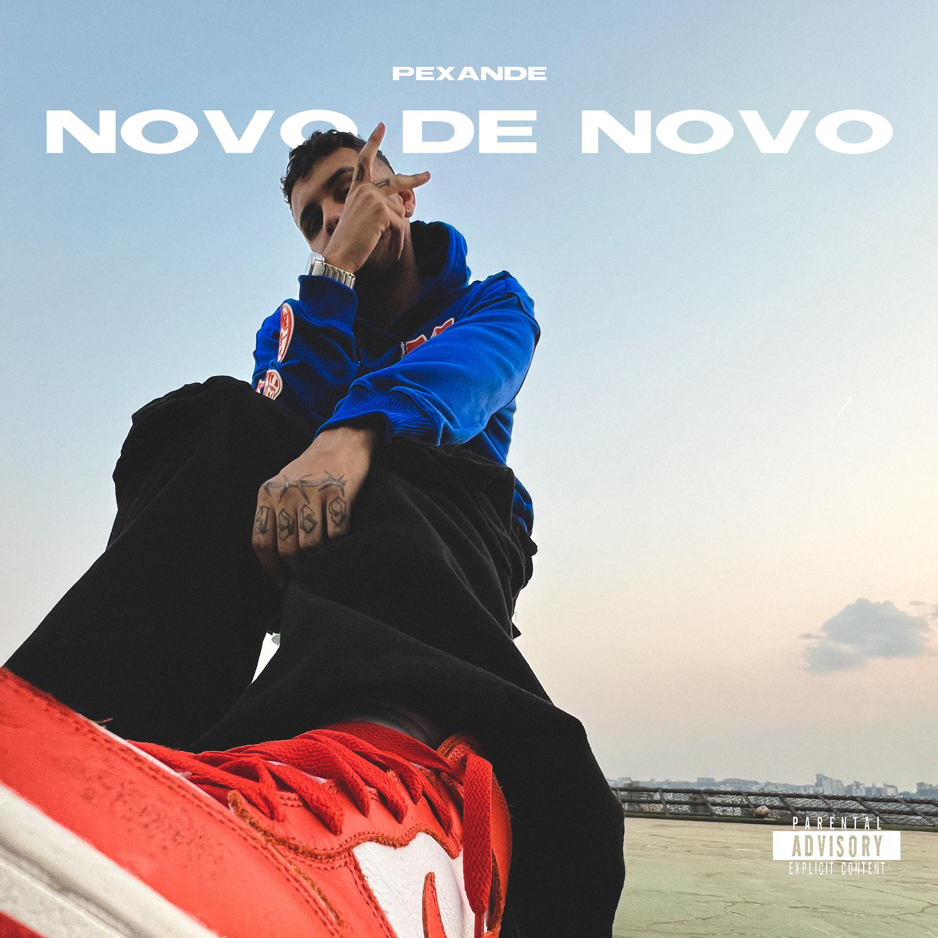 Постер альбома Novo de Novo