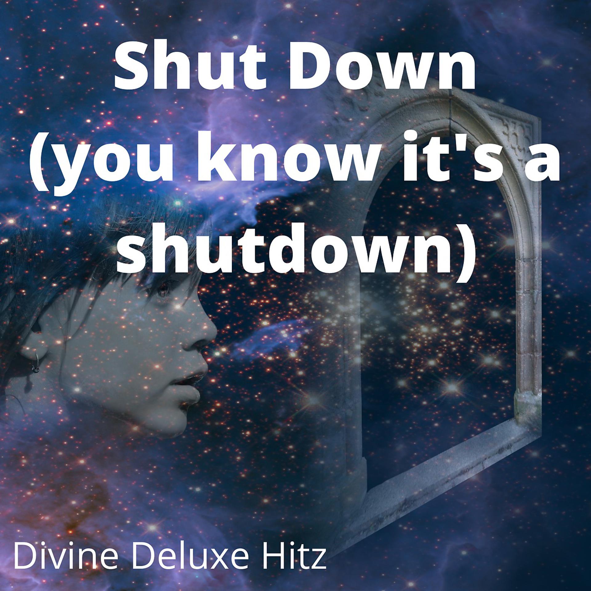 Постер альбома Shut Down (you know it's a shutdown)