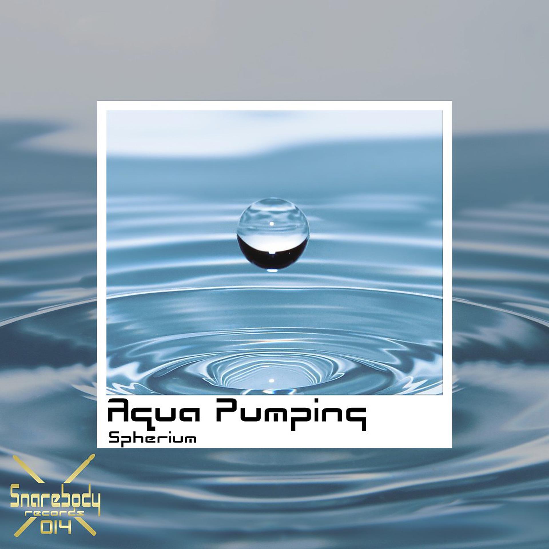 Постер альбома Aqua Pumping