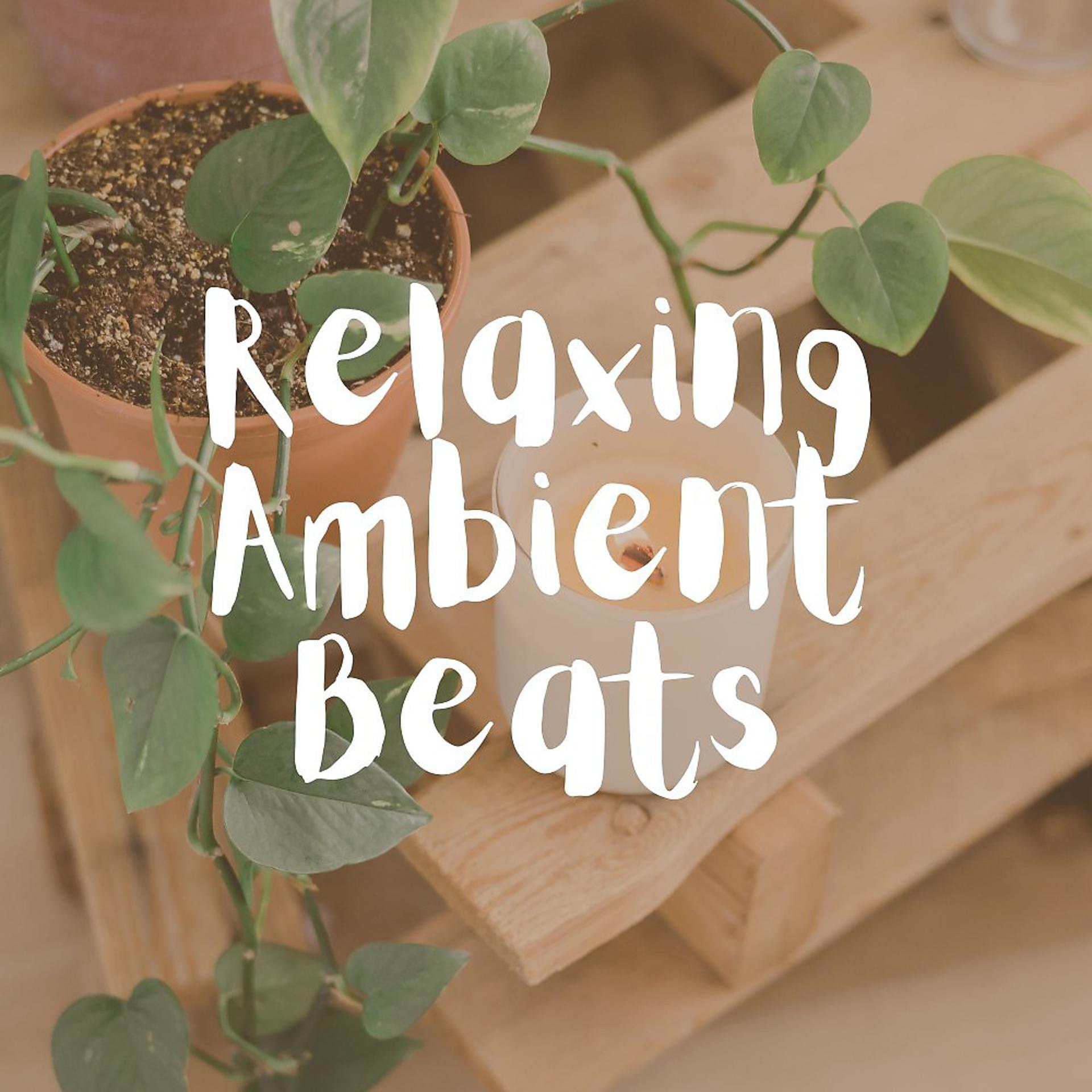 Постер альбома Relaxing Ambient Beats
