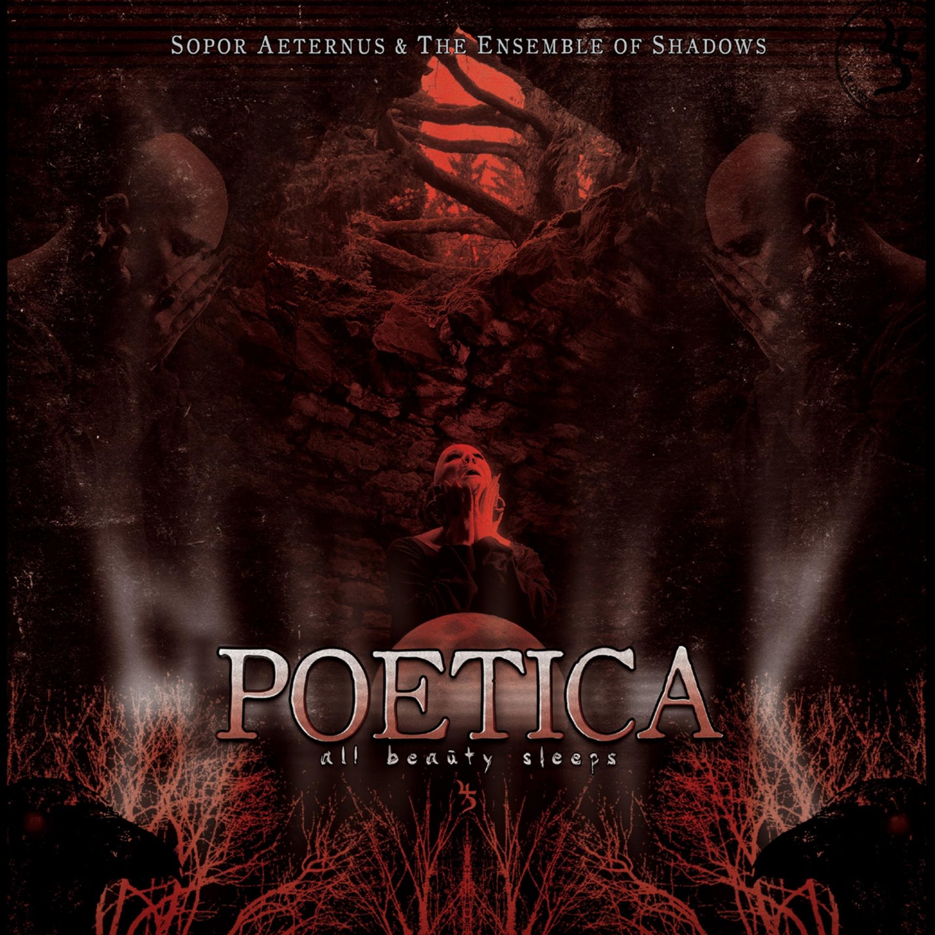 Постер альбома Poetica