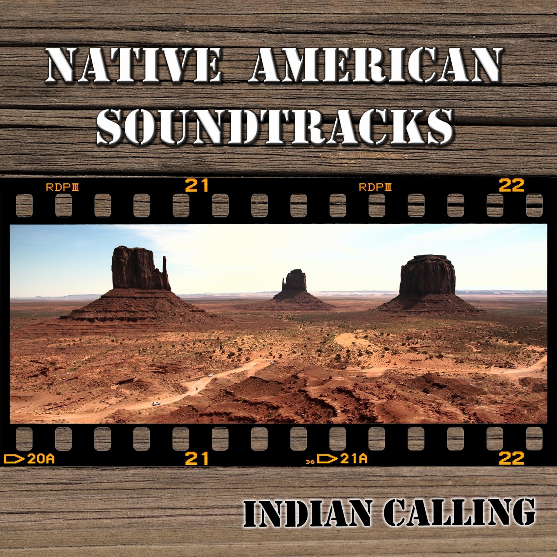 Постер альбома Native American Soundtracks