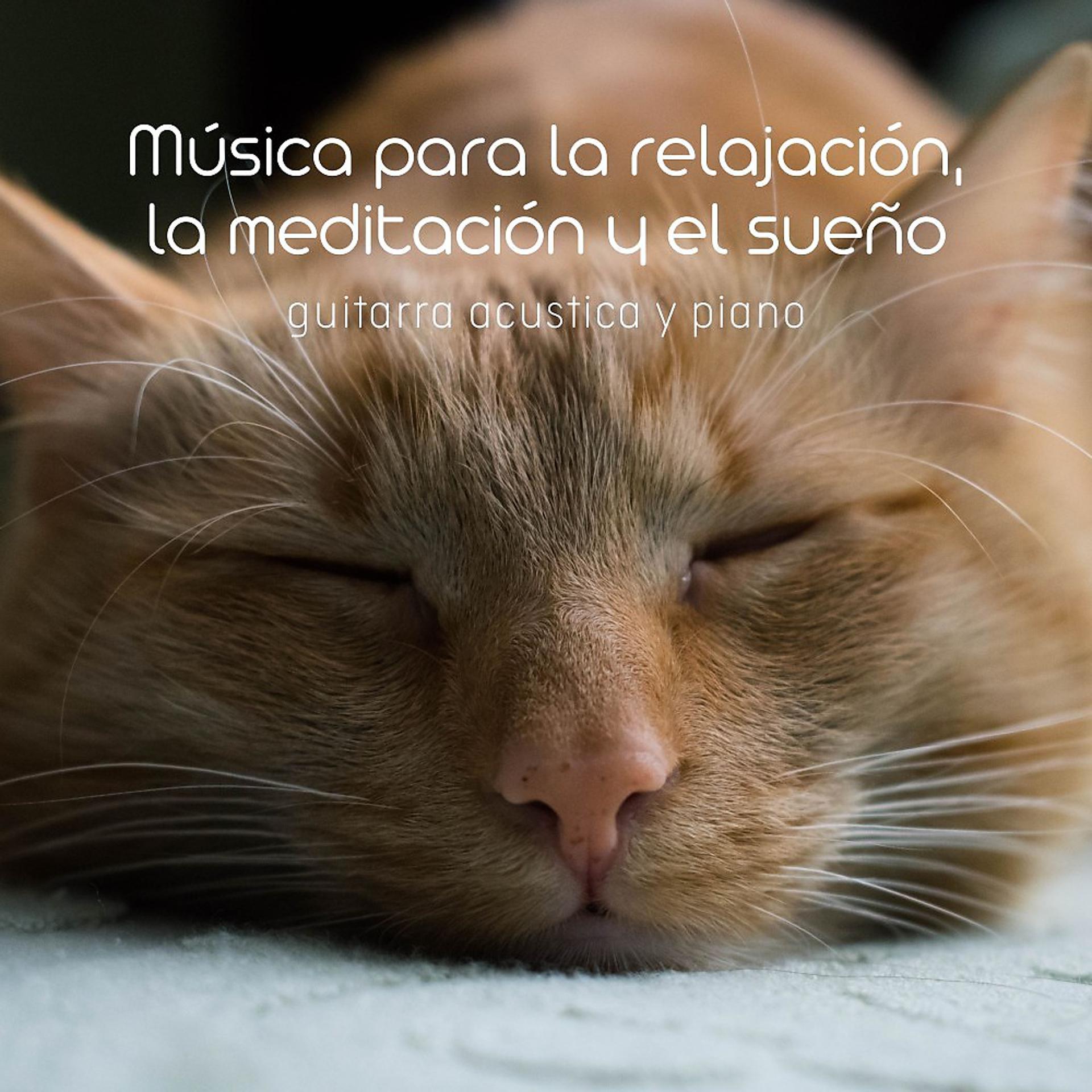 Постер альбома Música para la Relajación, la Meditación y el Sueño (Guitarra Acustica y Piano)