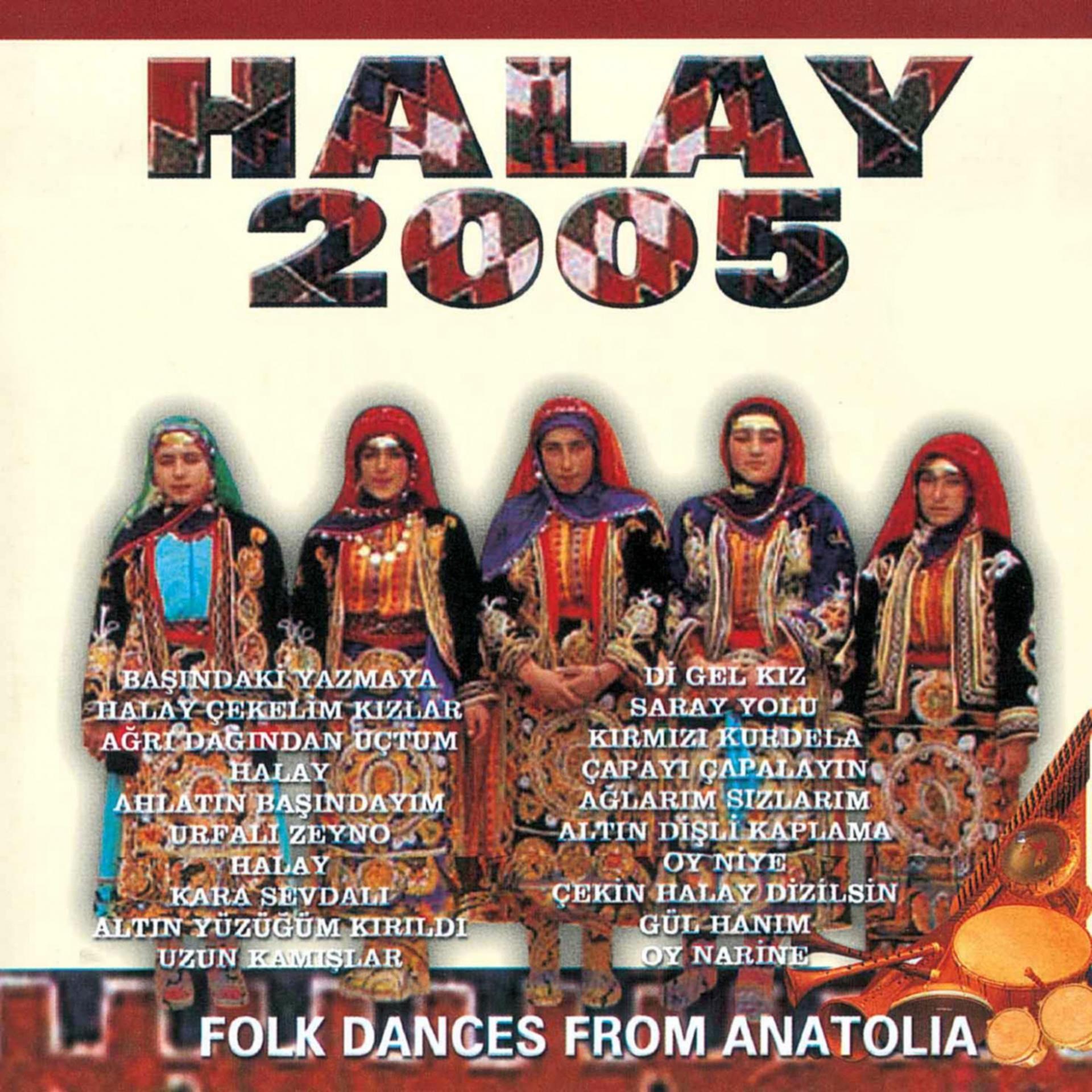 Постер альбома Süper Halay 2005