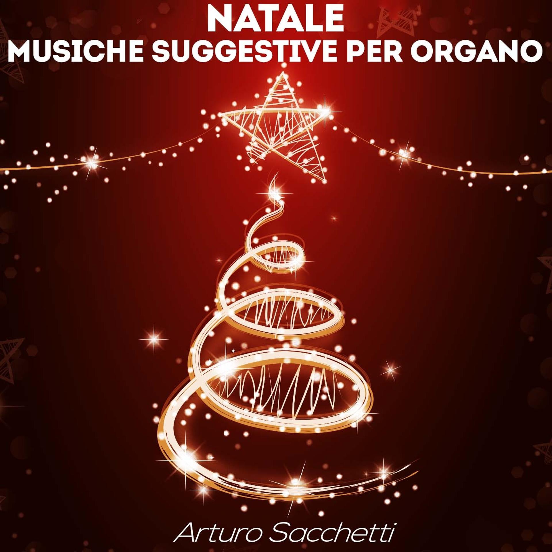 Постер альбома Natale: musiche suggestive per organo