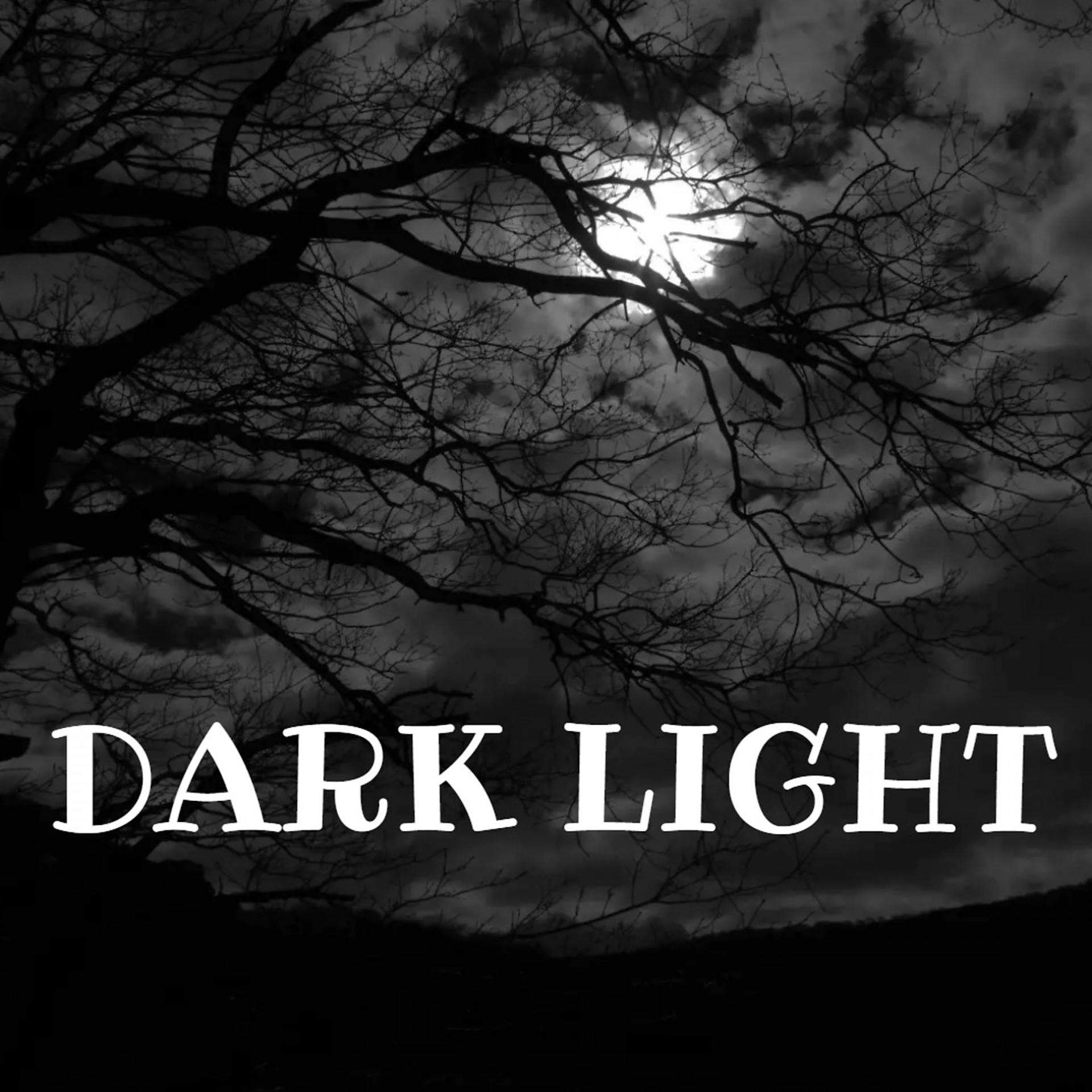 Постер альбома DARK LIGHT