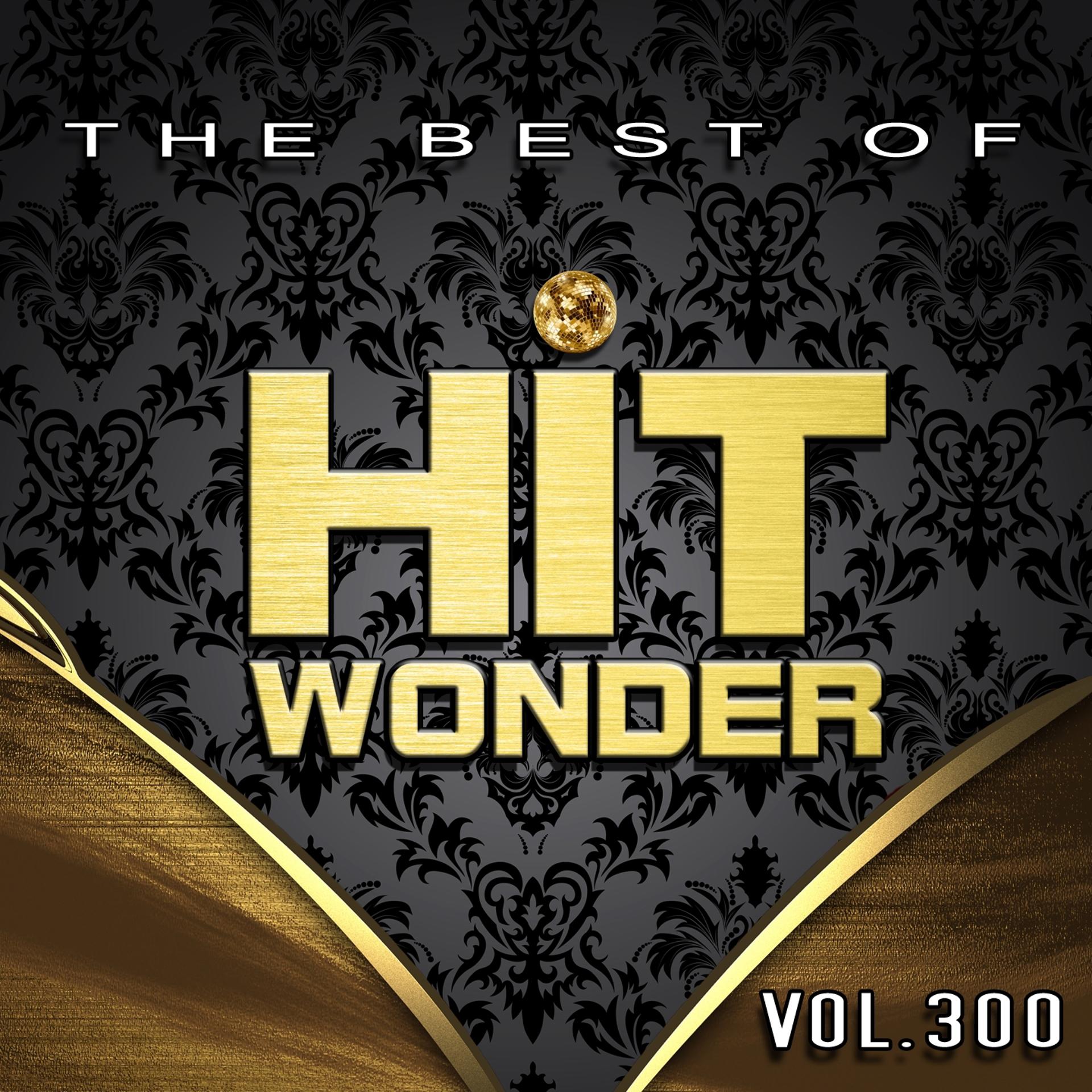 Постер альбома Hit Wonder: The Best Of, Vol. 300