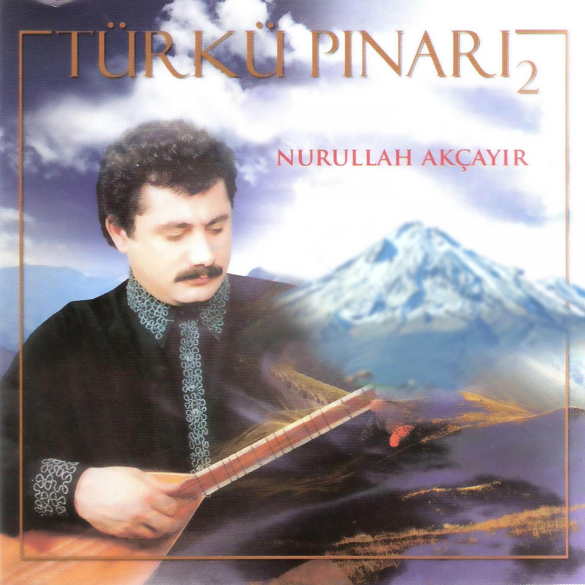Постер альбома Türkü Pınarı, Vol. 2