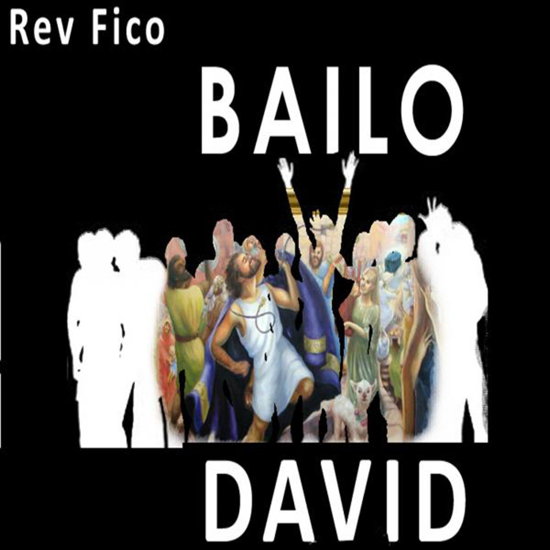 Постер альбома Bailo David