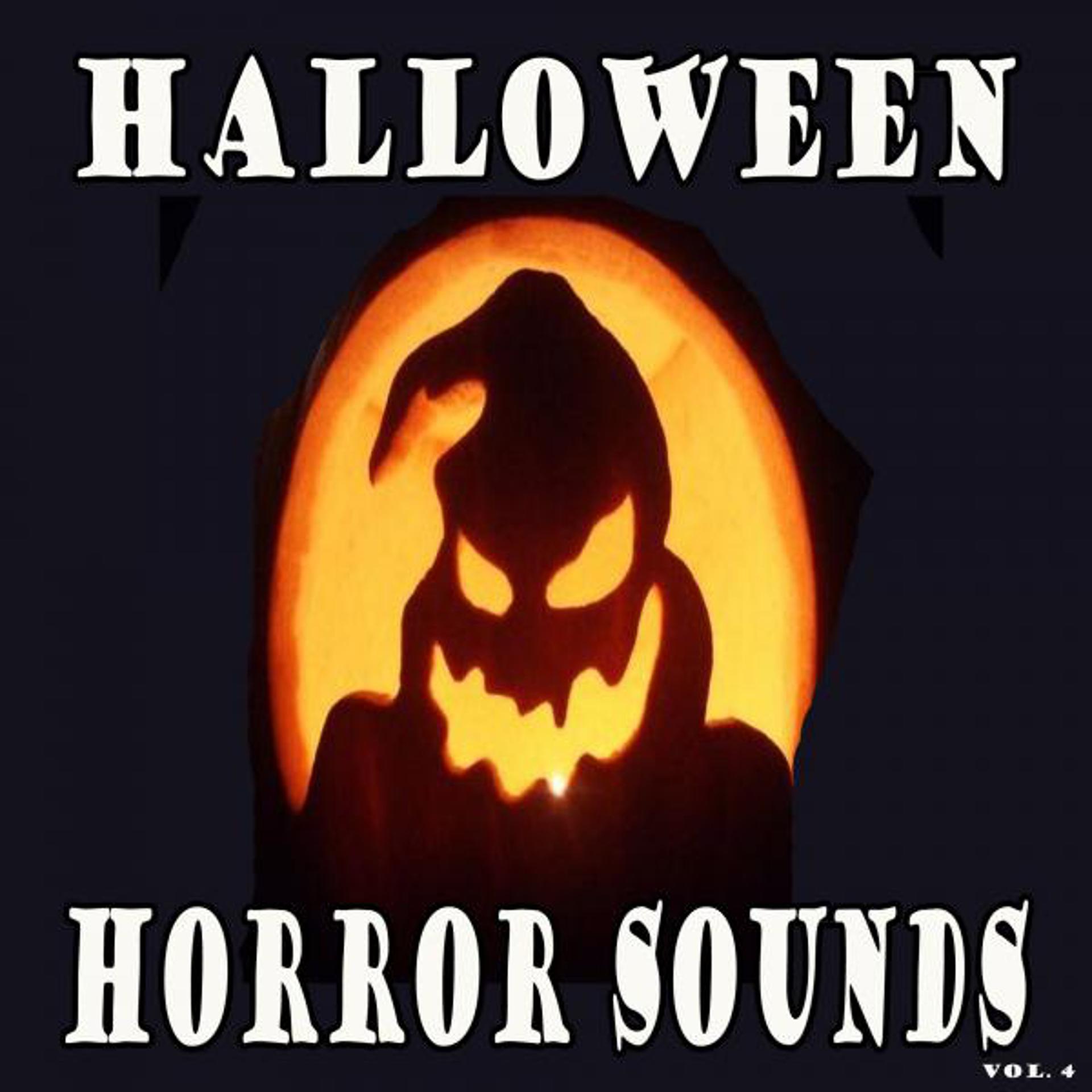 Постер альбома Halloween Horror Sounds, Vol. 4
