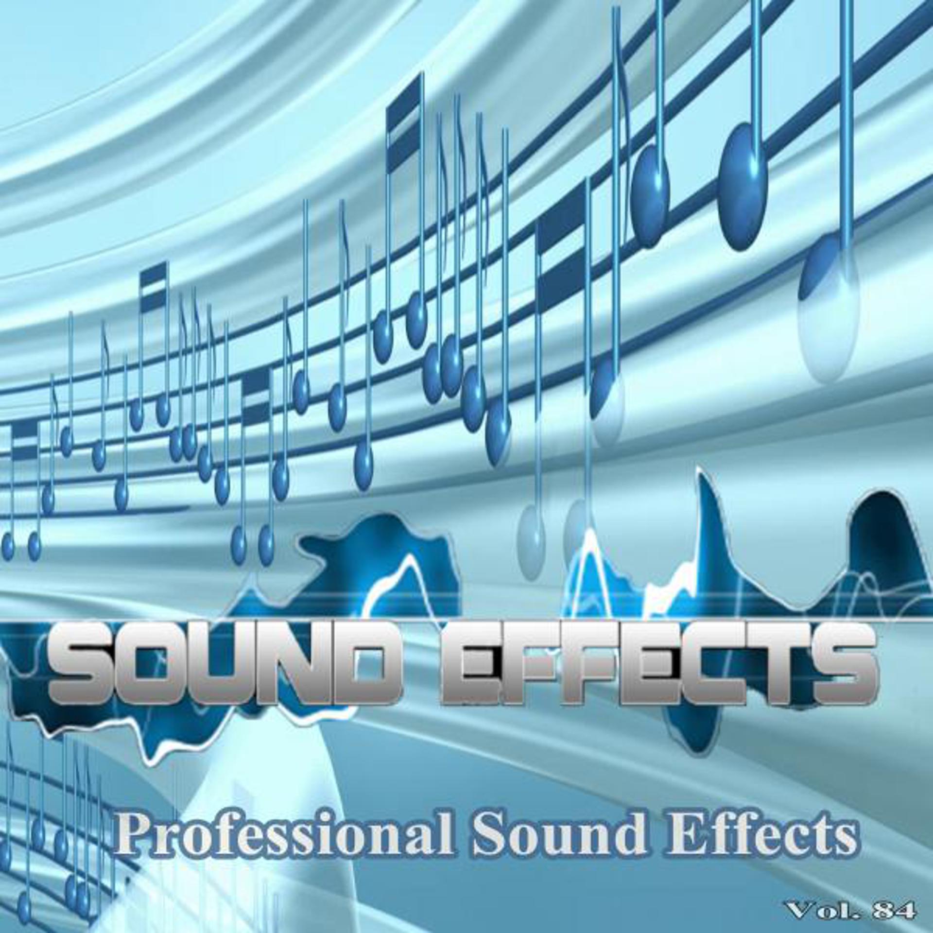 Постер альбома Professional Sound Effects, Vol. 84