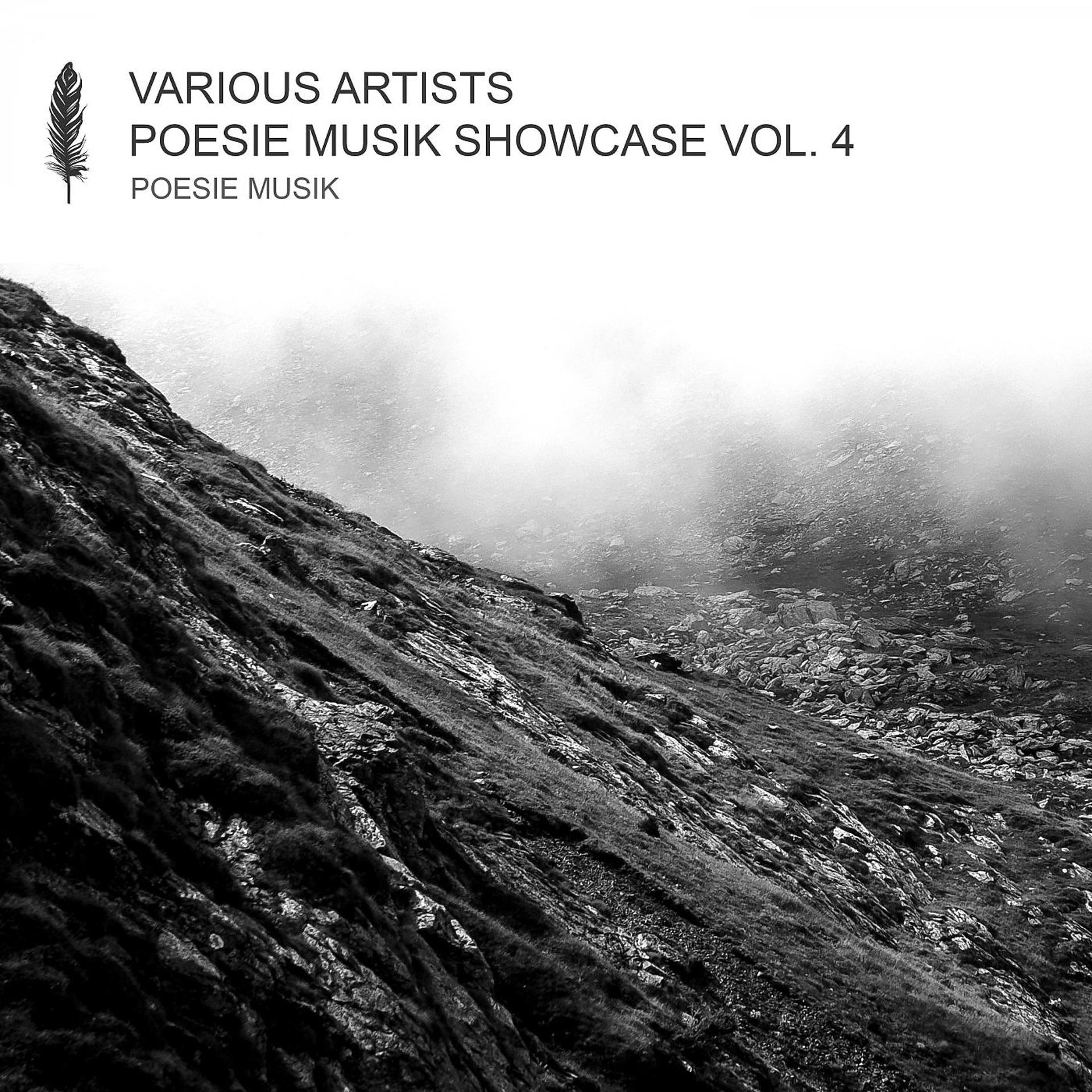 Постер альбома Poesie Musik Showcase, Vol. 4