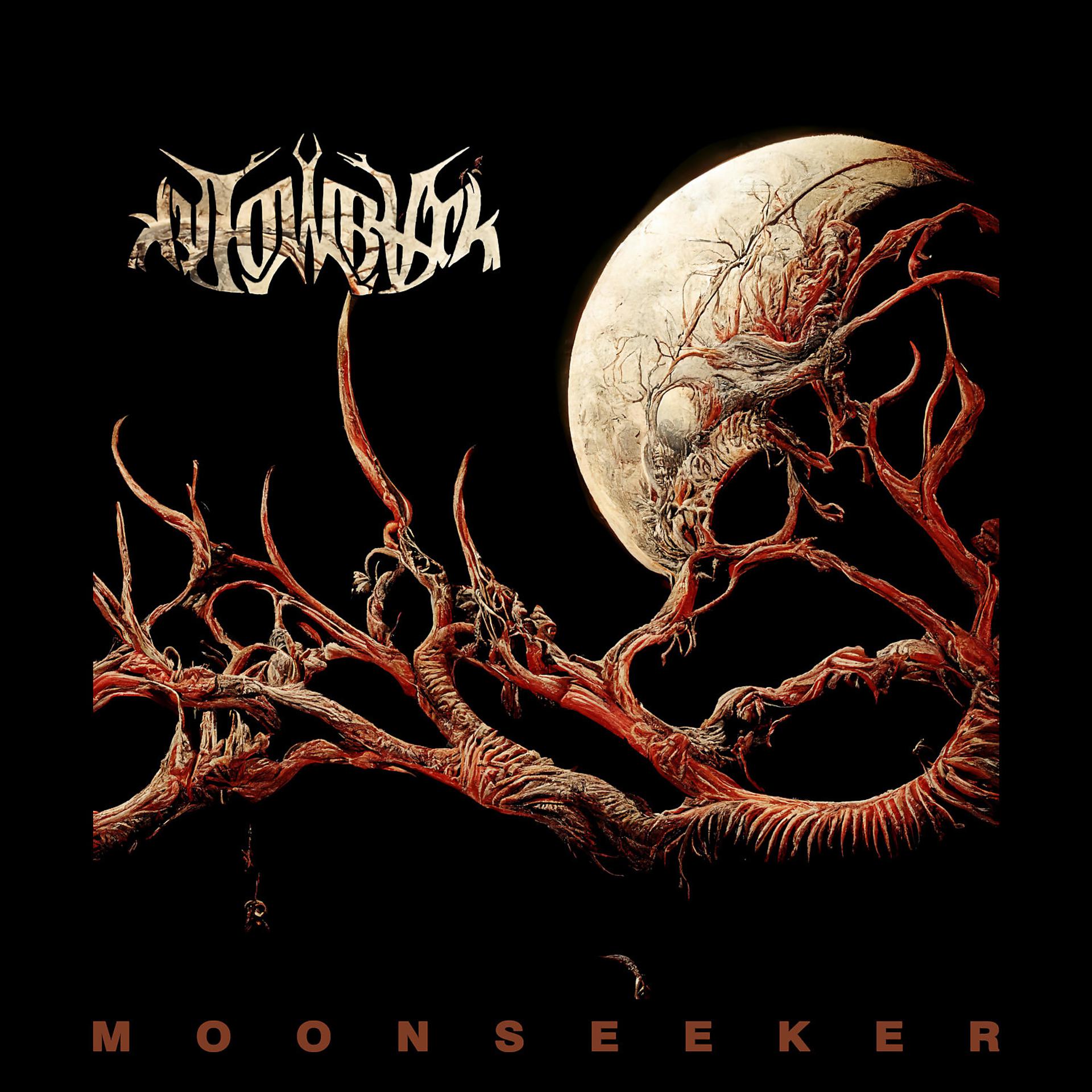 Постер альбома Moonseeker