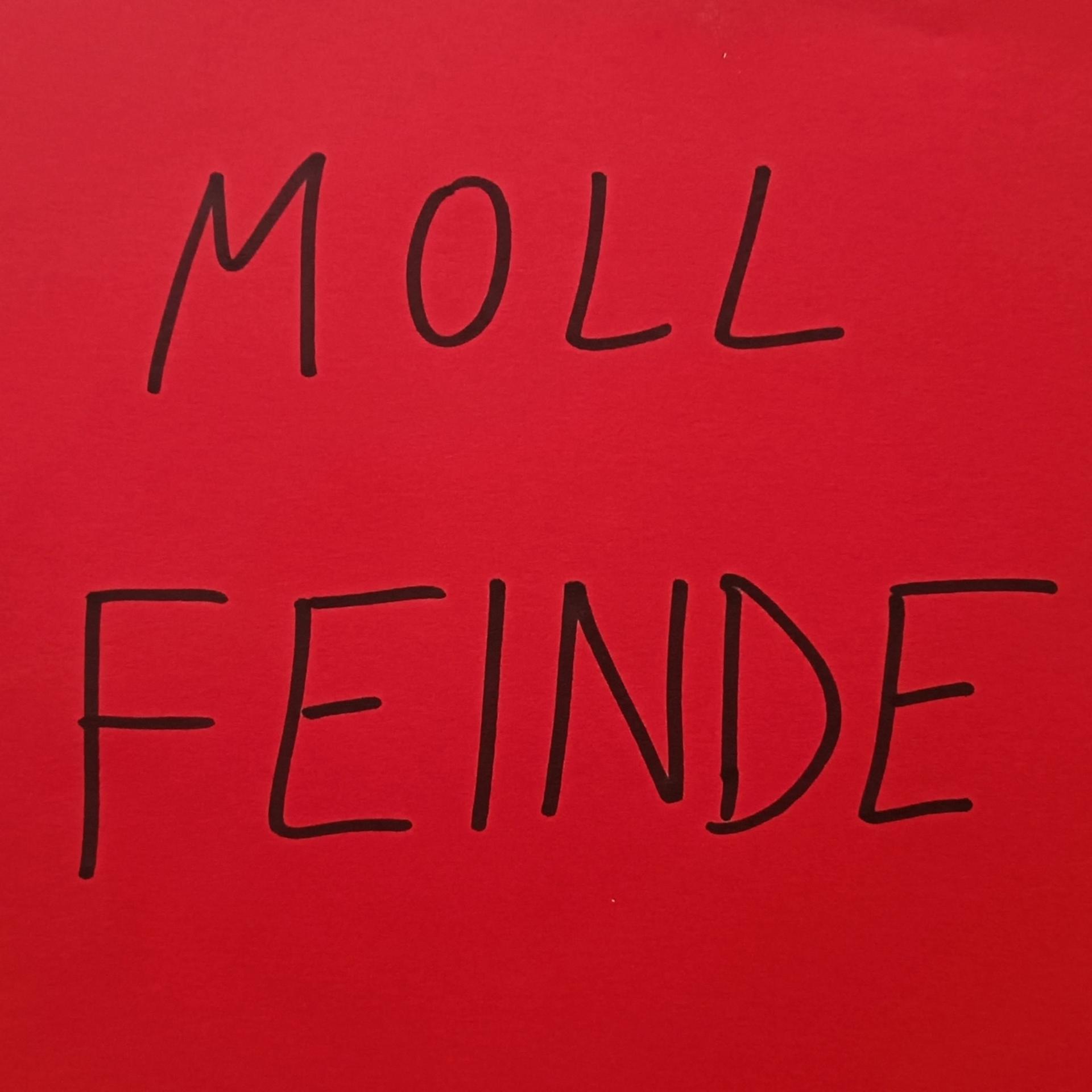 Постер альбома Feinde