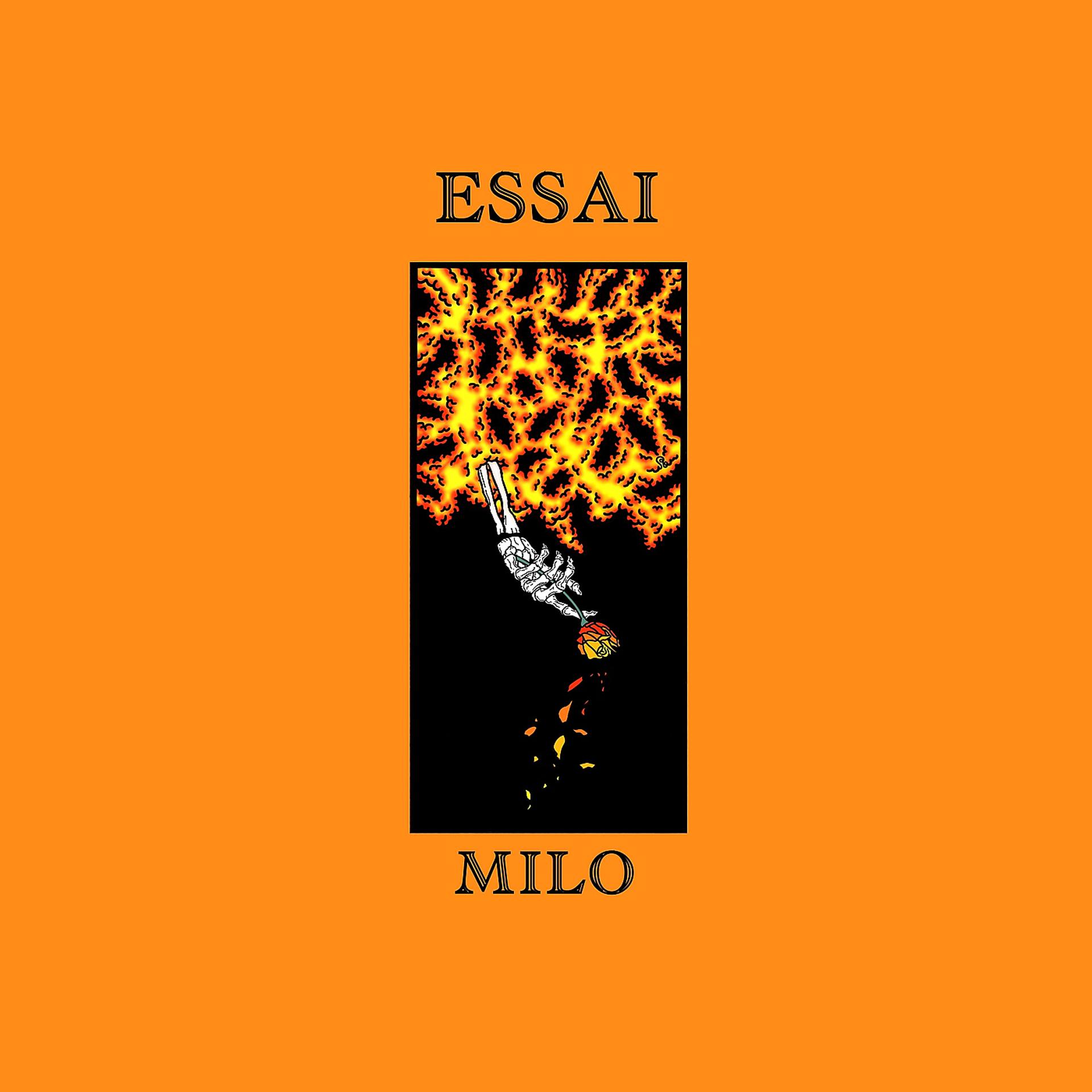 Постер альбома Essai
