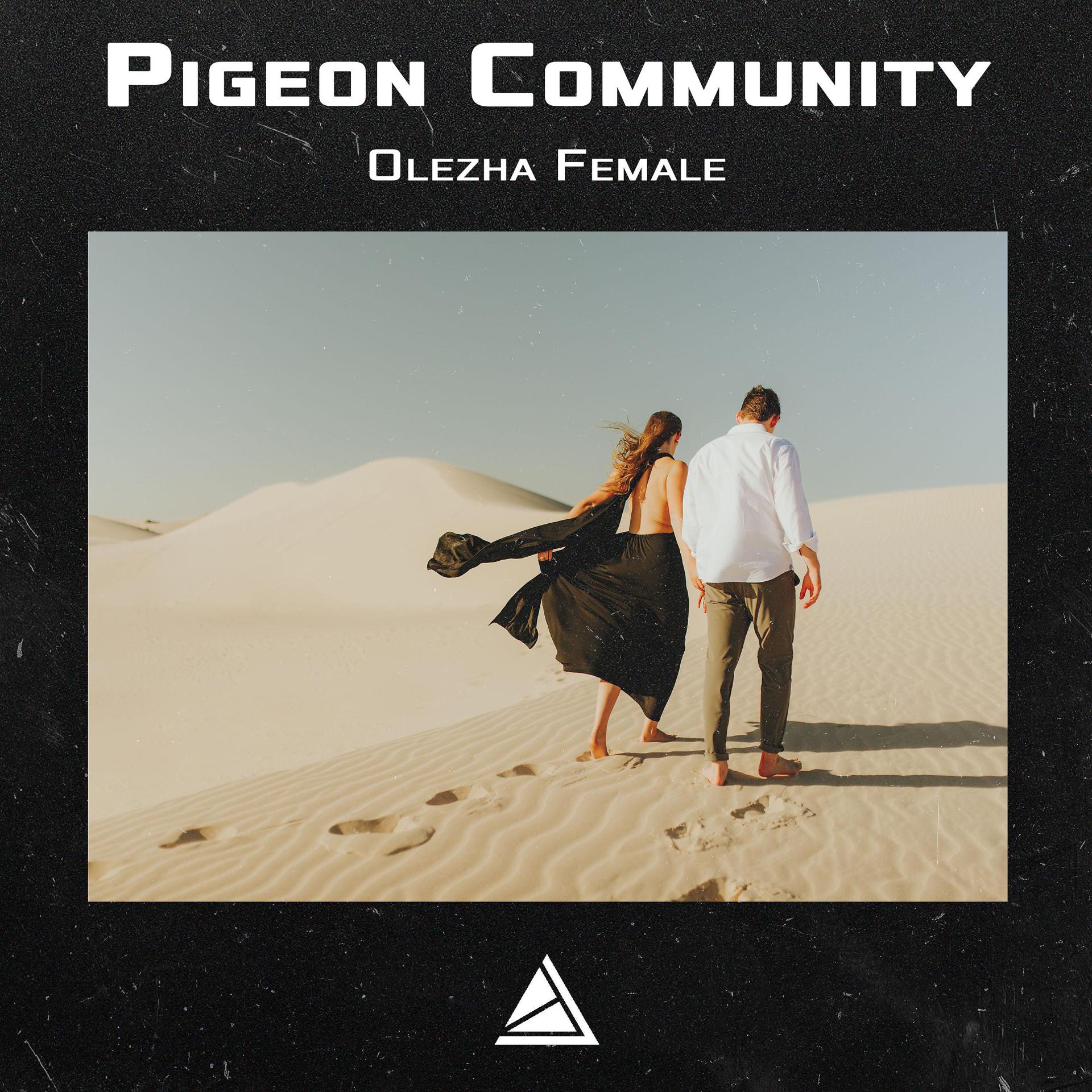 Постер к треку Pigeon Community - Olezha Female