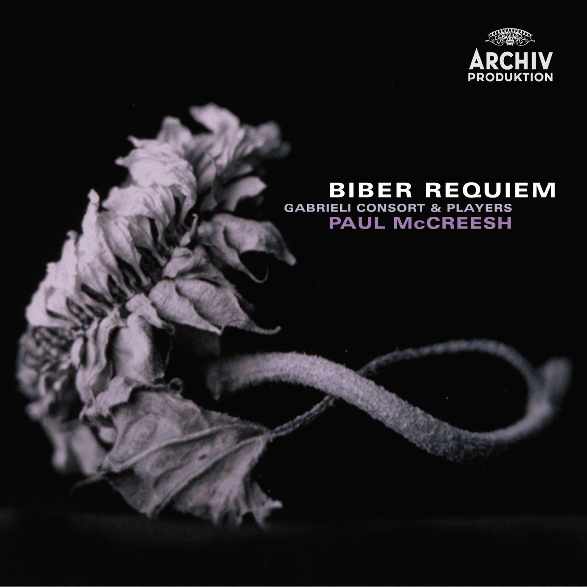 Постер альбома Biber: Requiem; Mass