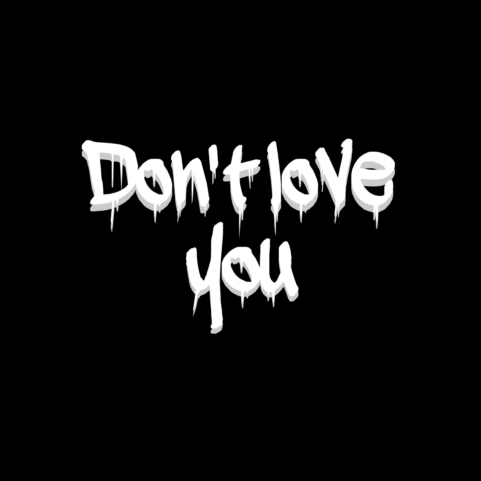 Постер альбома Don't Love You