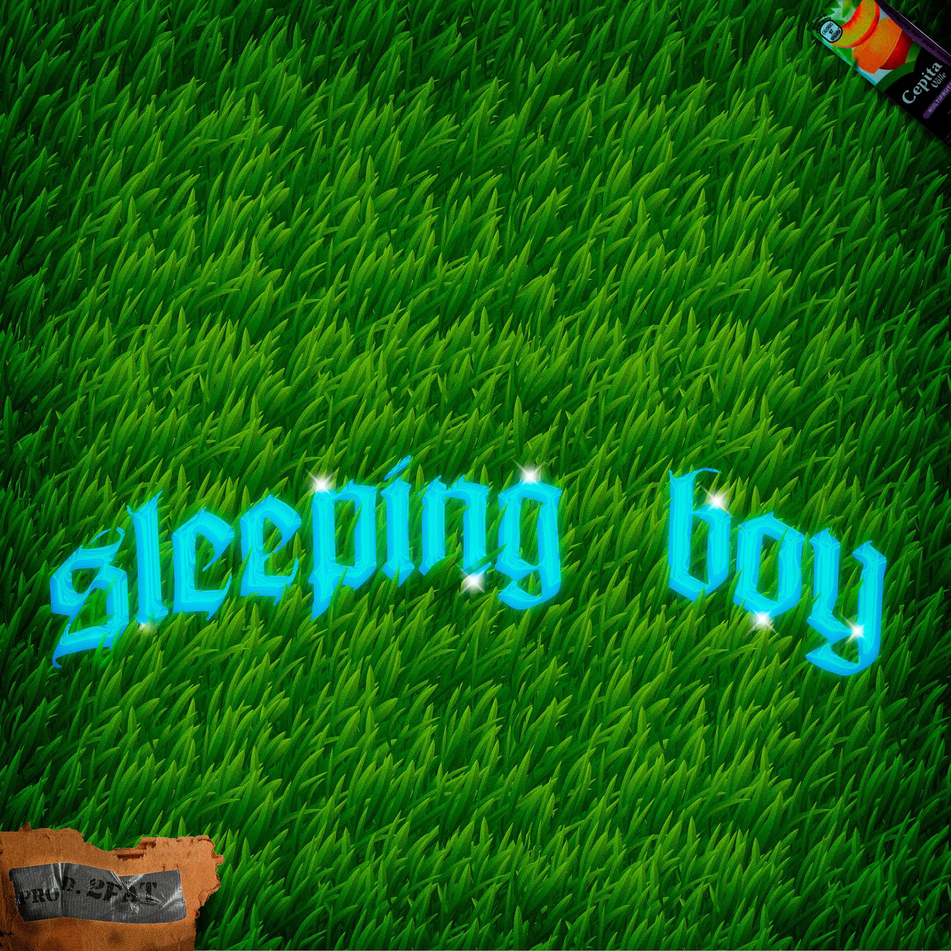 Постер альбома Sleepingboy